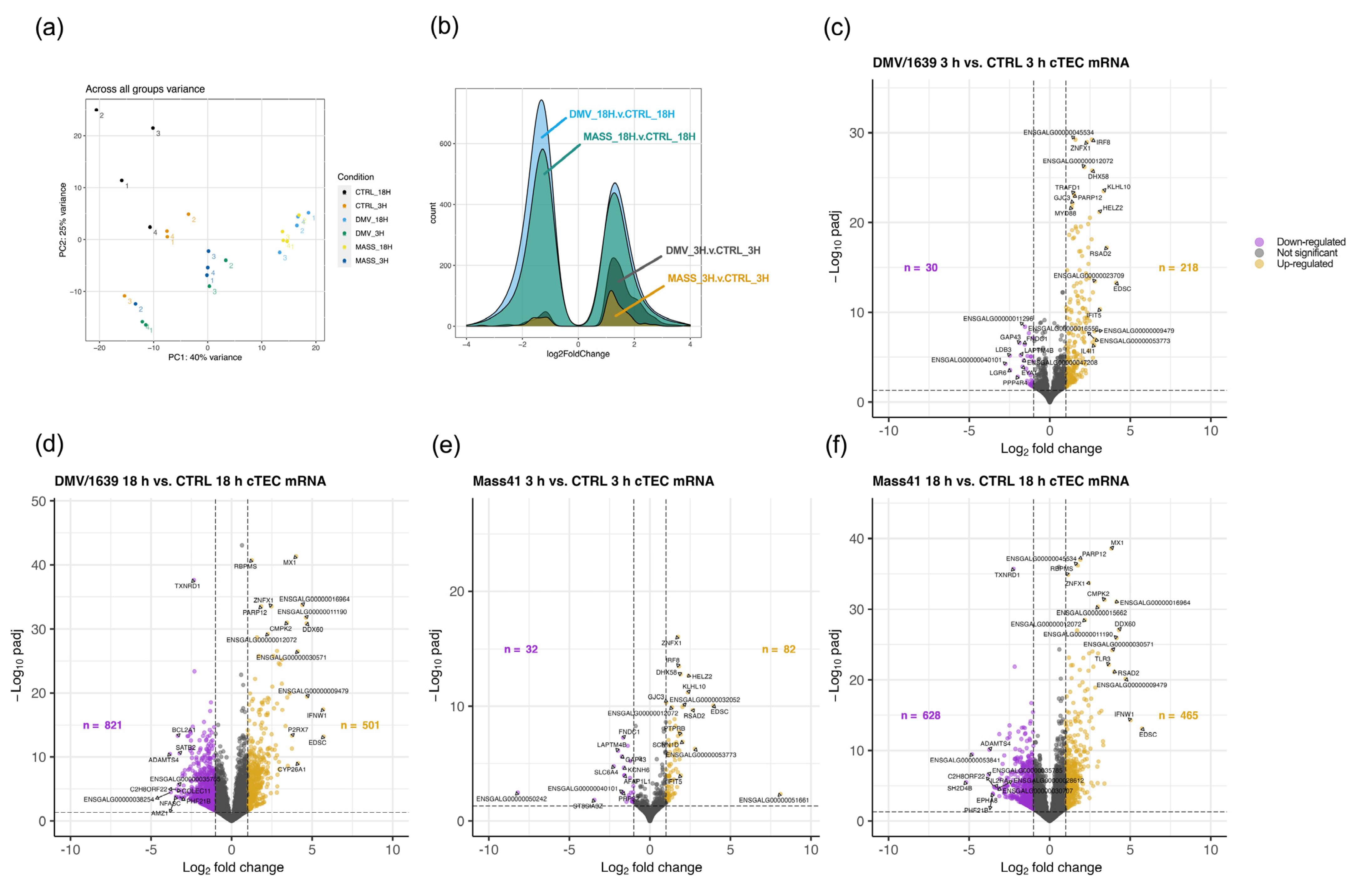 Viruses 16 00605 g003