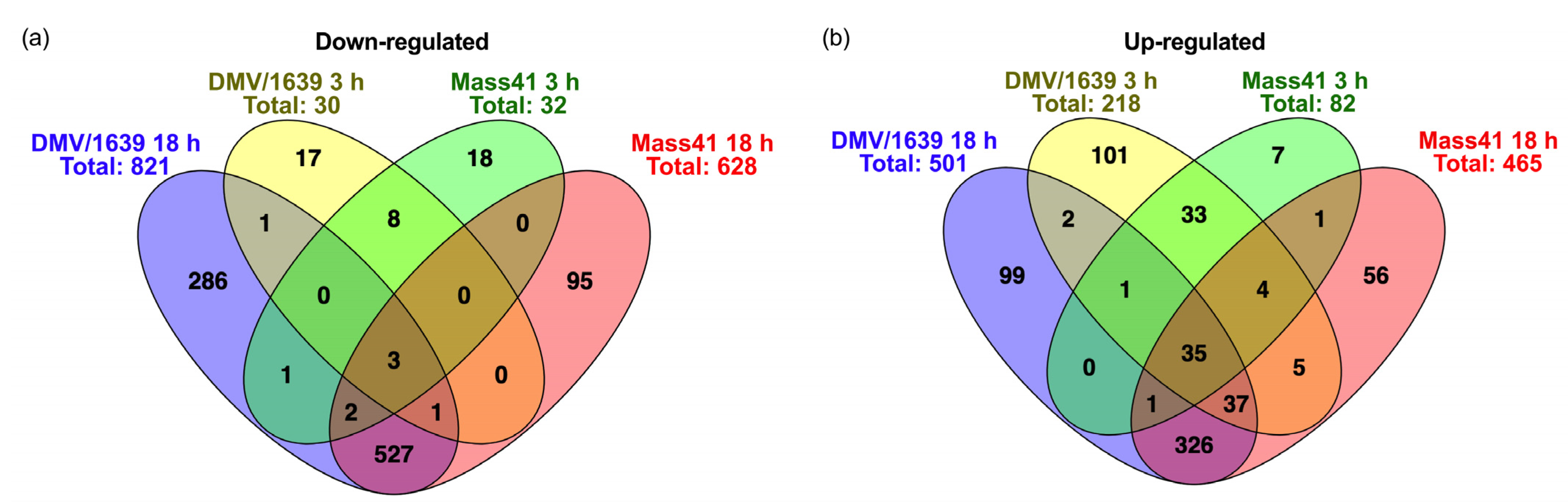 Viruses 16 00605 g004