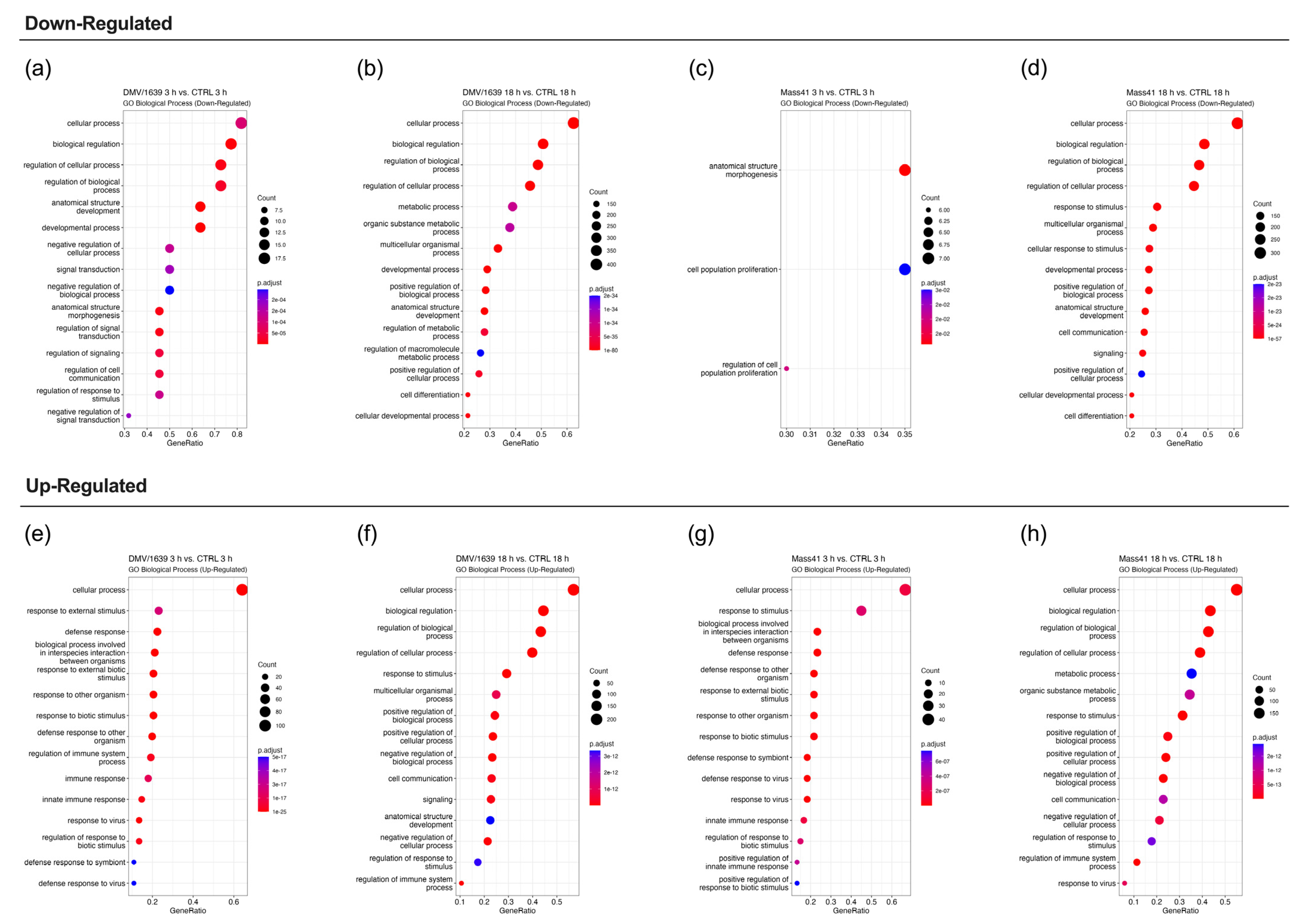Viruses 16 00605 g005