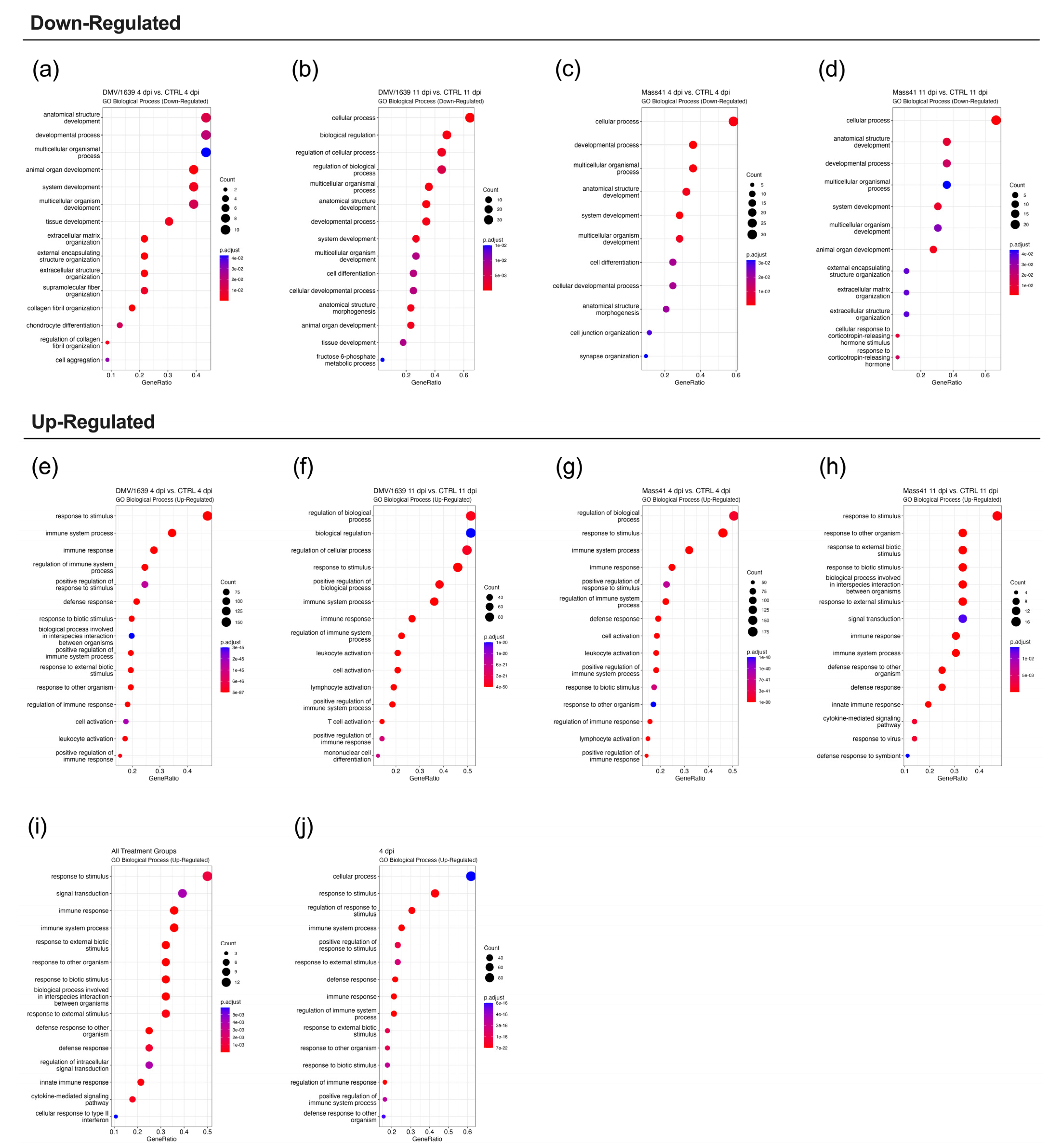Viruses 16 00605 g009