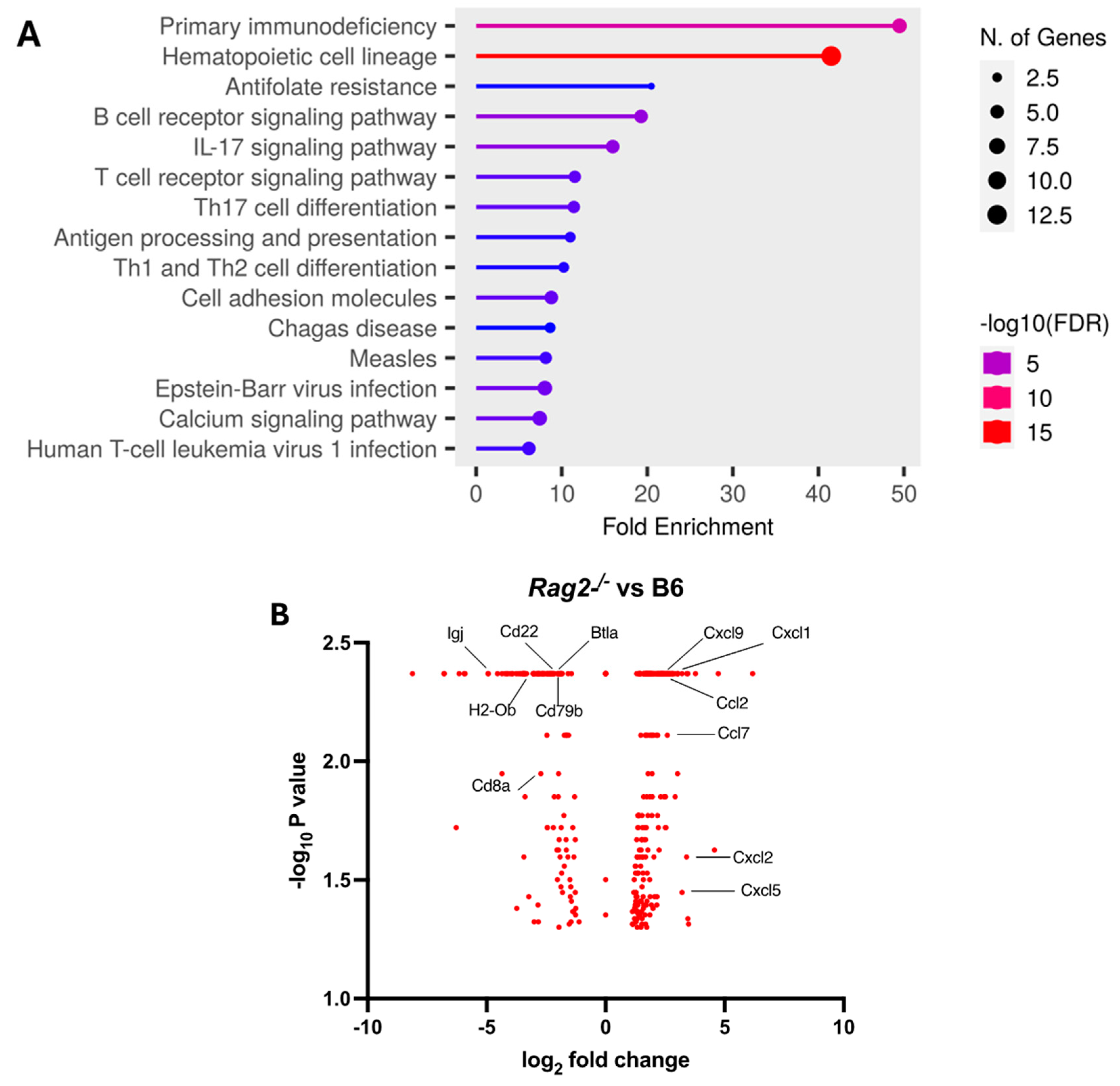 Viruses 16 00611 g004 Viruses 16 00611 g004