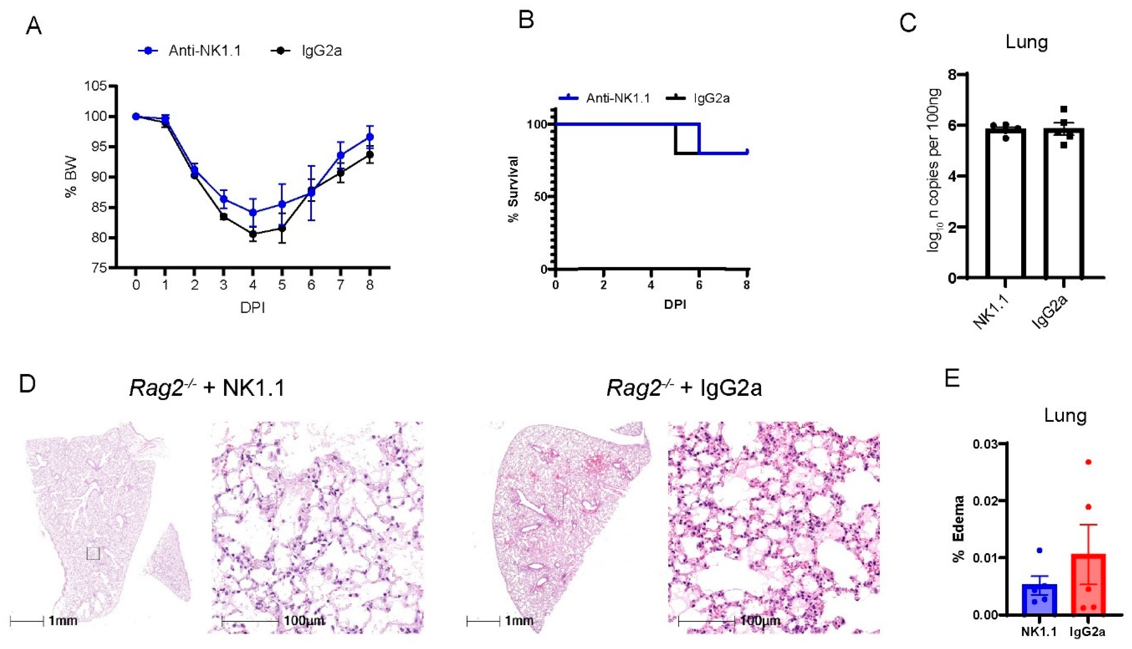 Viruses 16 00611 g005 Viruses 16 00611 g005