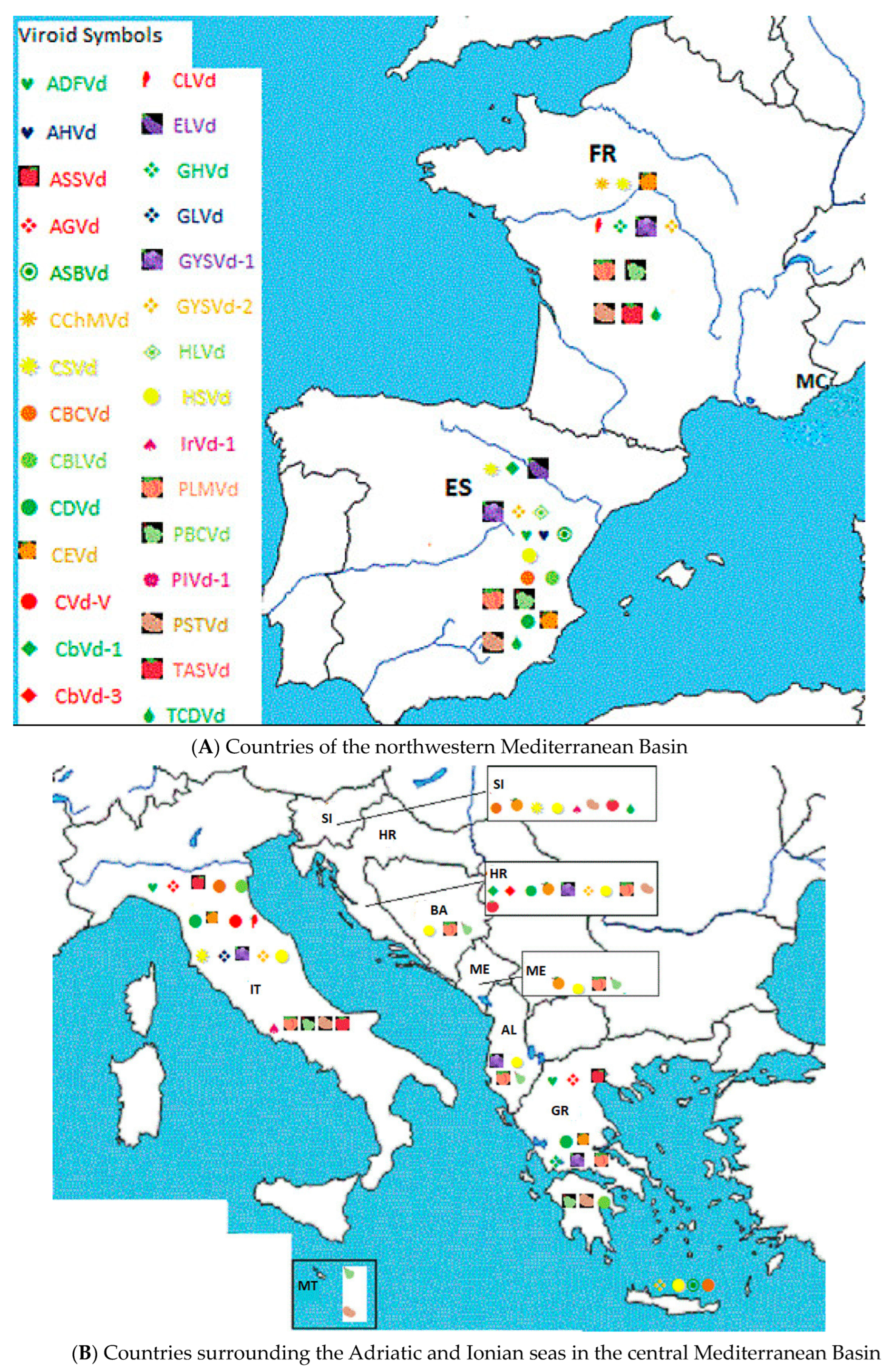 Viruses 16 00612 g001a