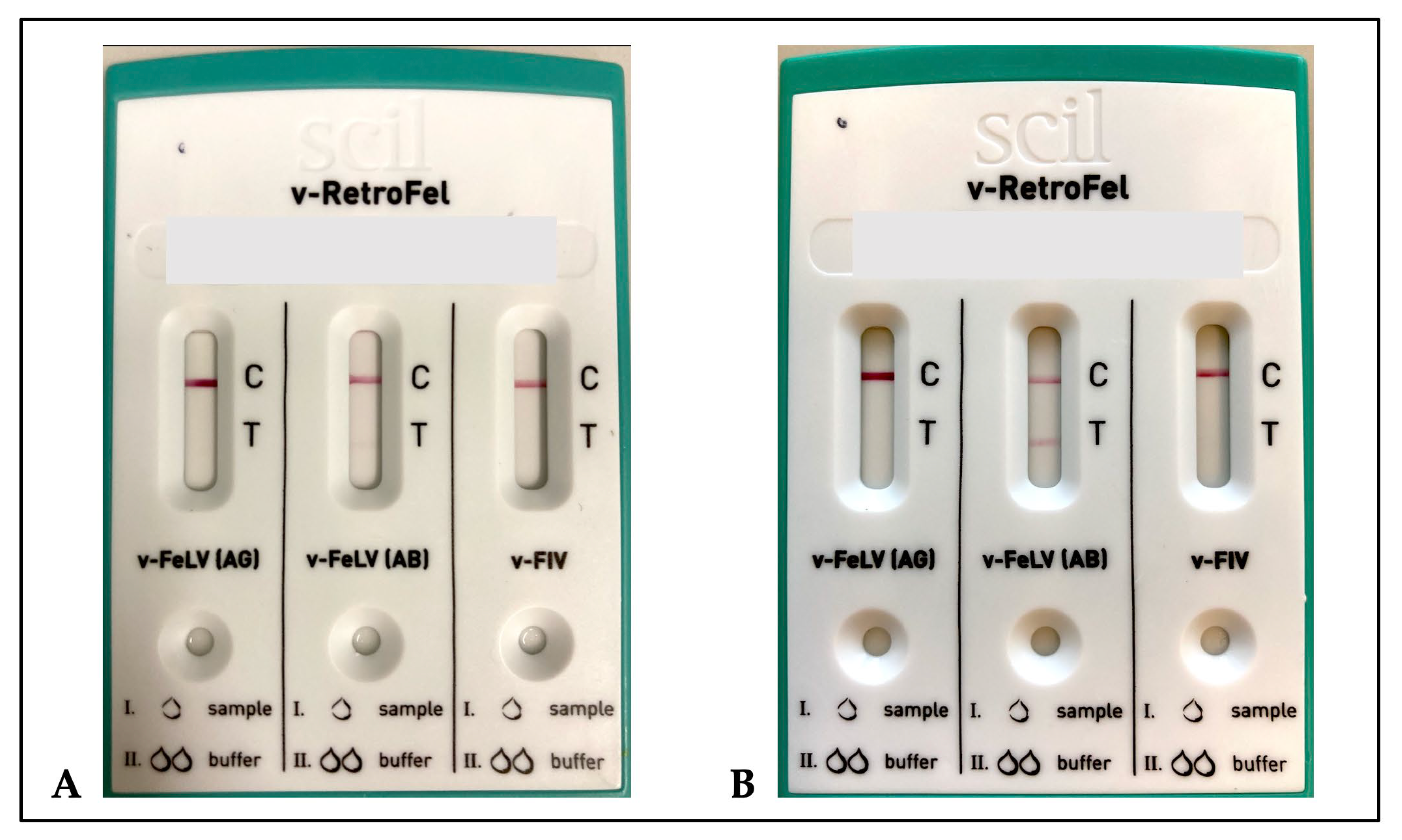 Viruses 16 00614 g001
