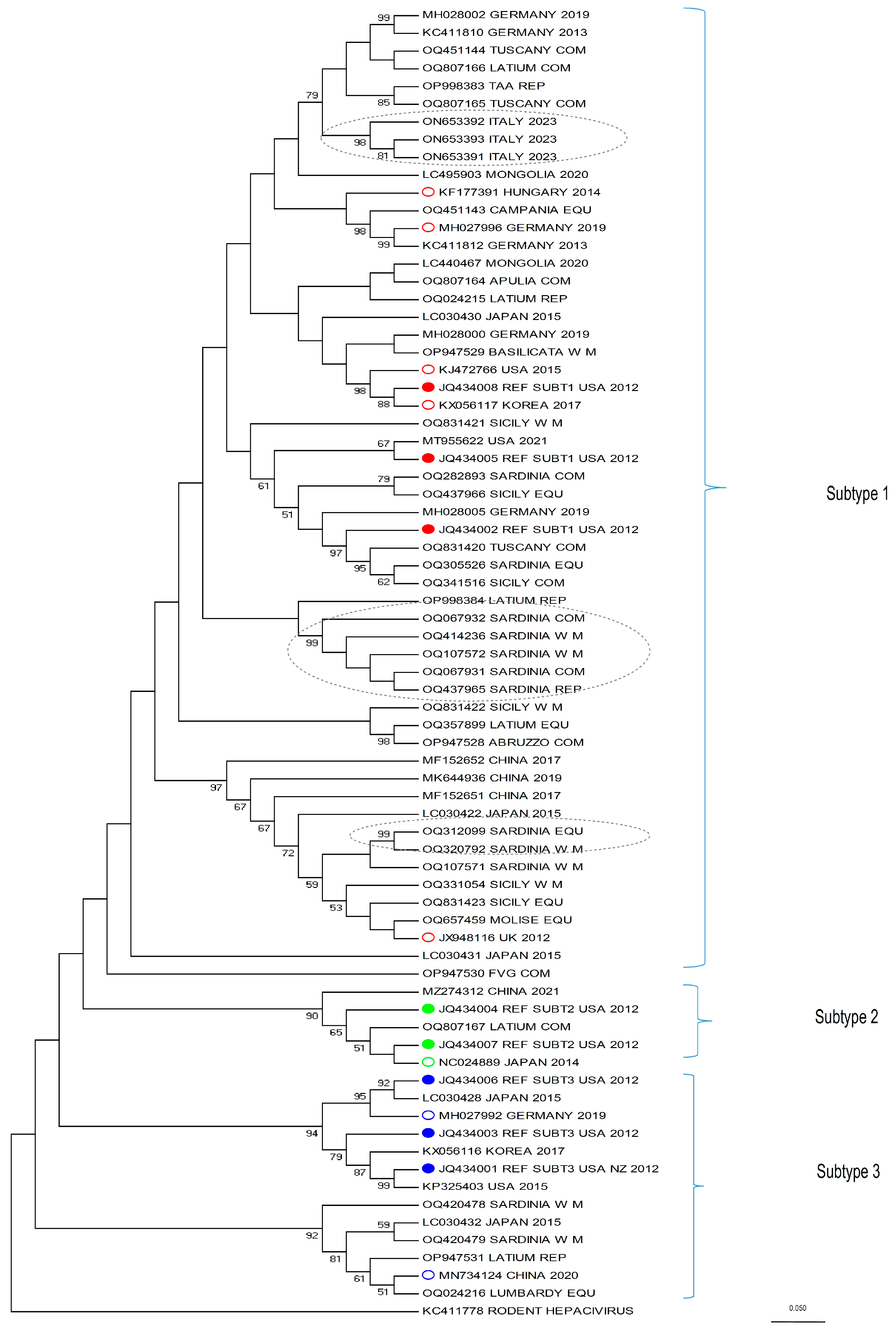 Viruses 16 00616 g002