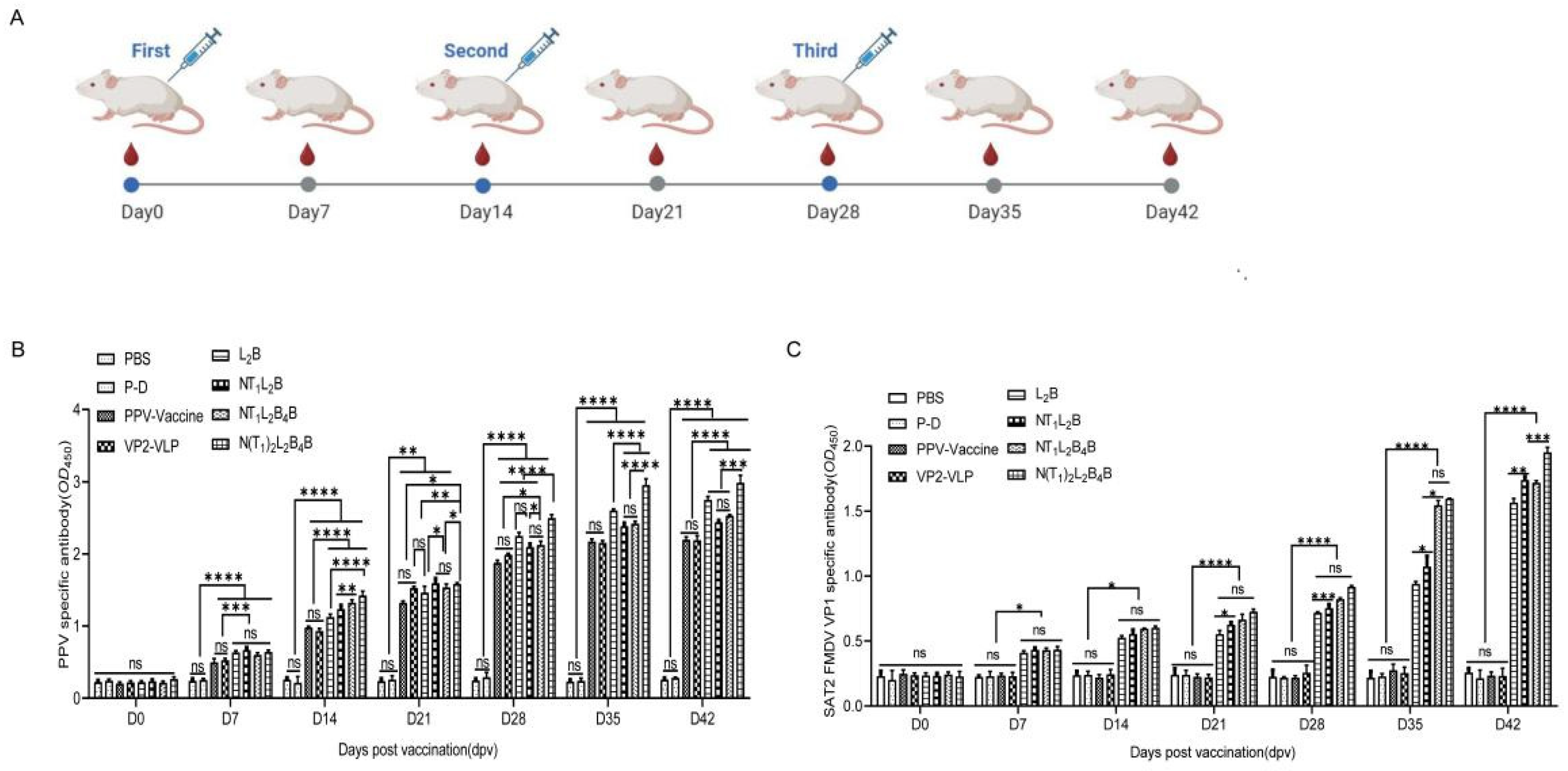 Viruses 16 00621 g005