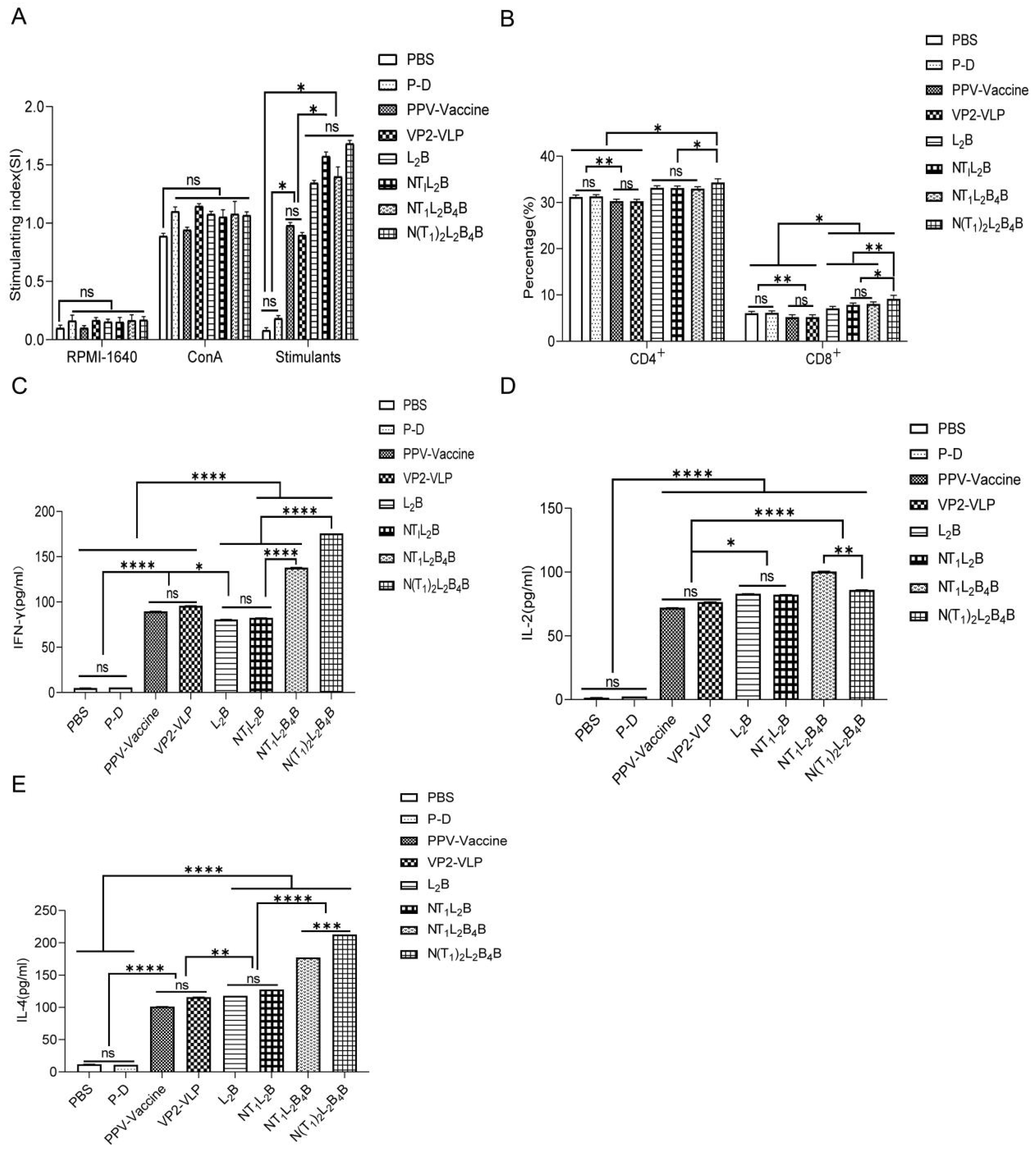 Viruses 16 00621 g006