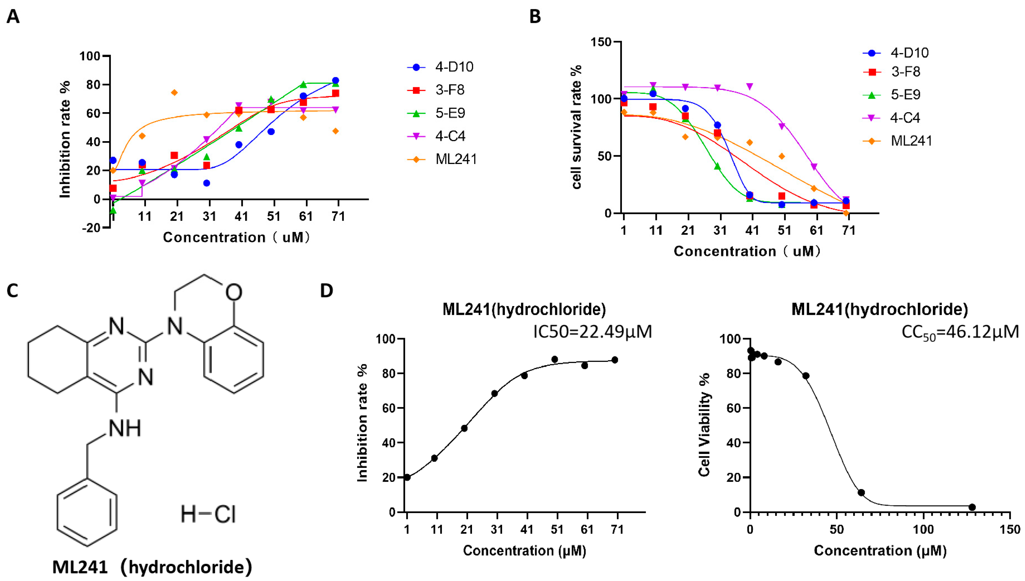 Viruses 16 00623 g001