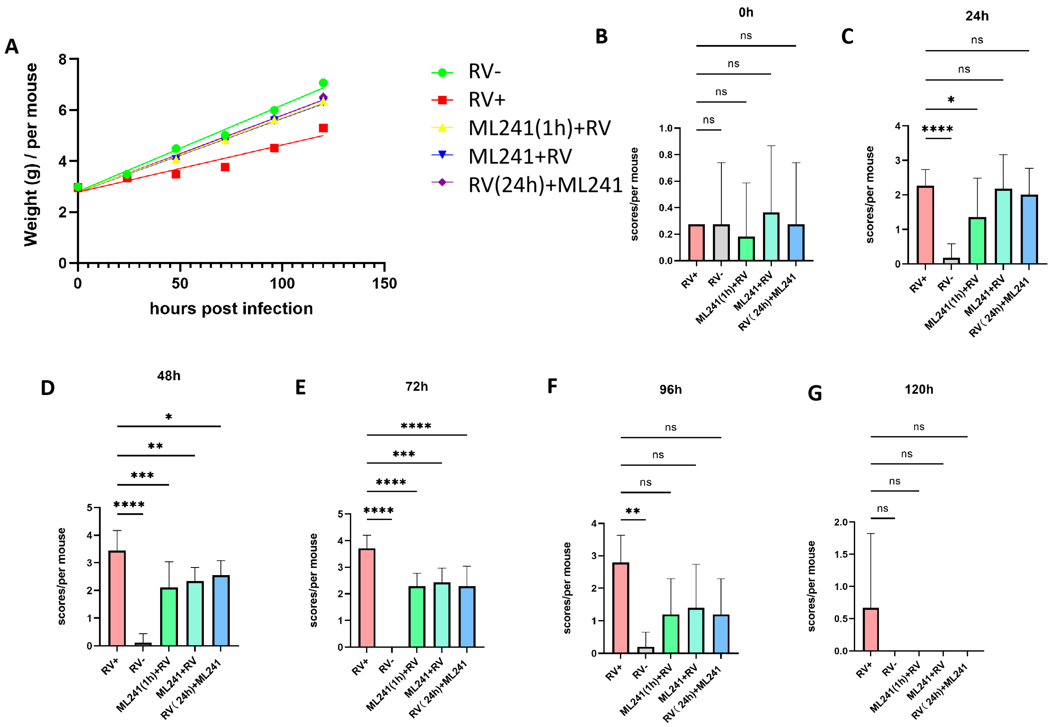 Viruses 16 00623 g005
