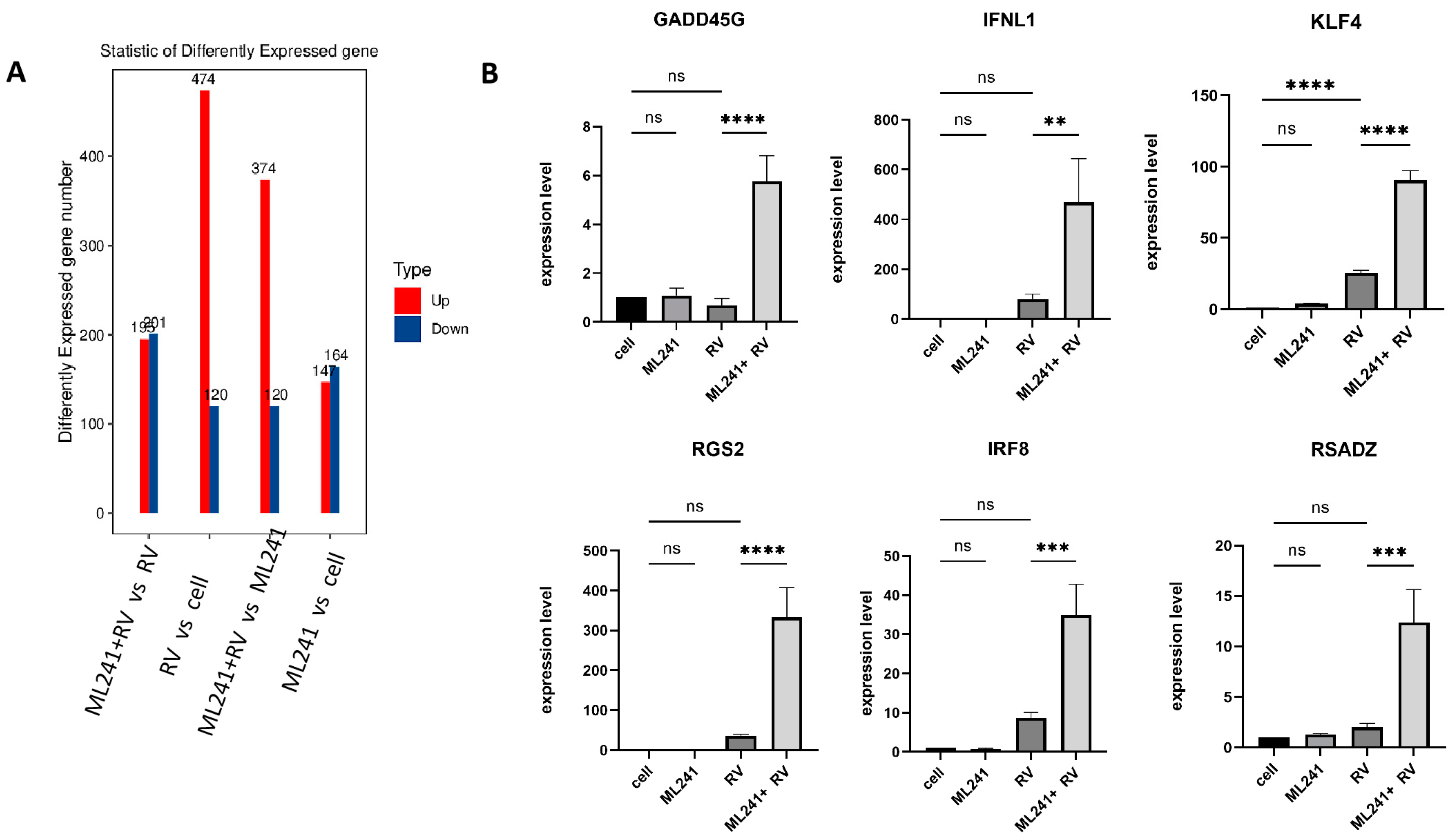 Viruses 16 00623 g007