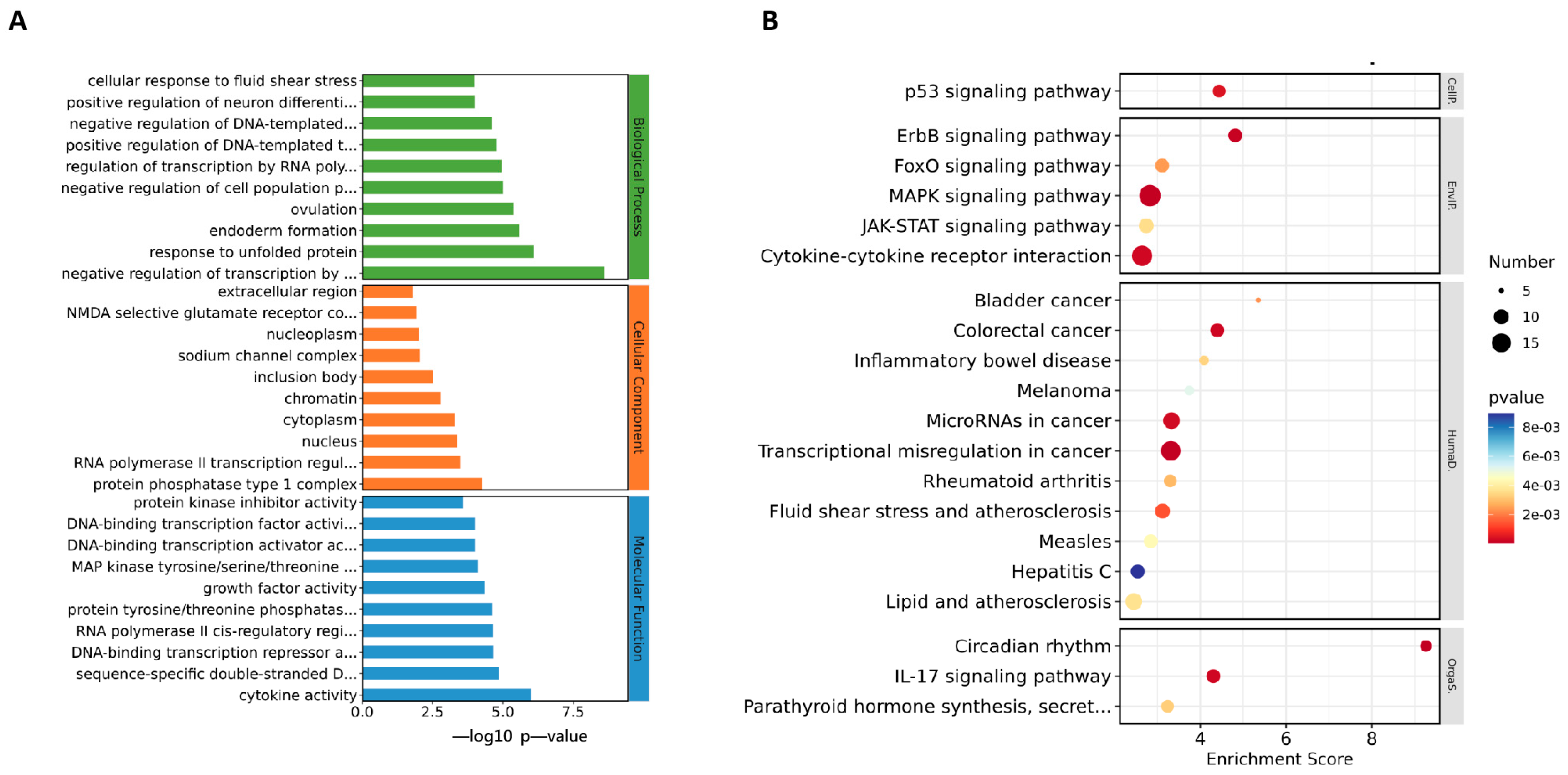 Viruses 16 00623 g008