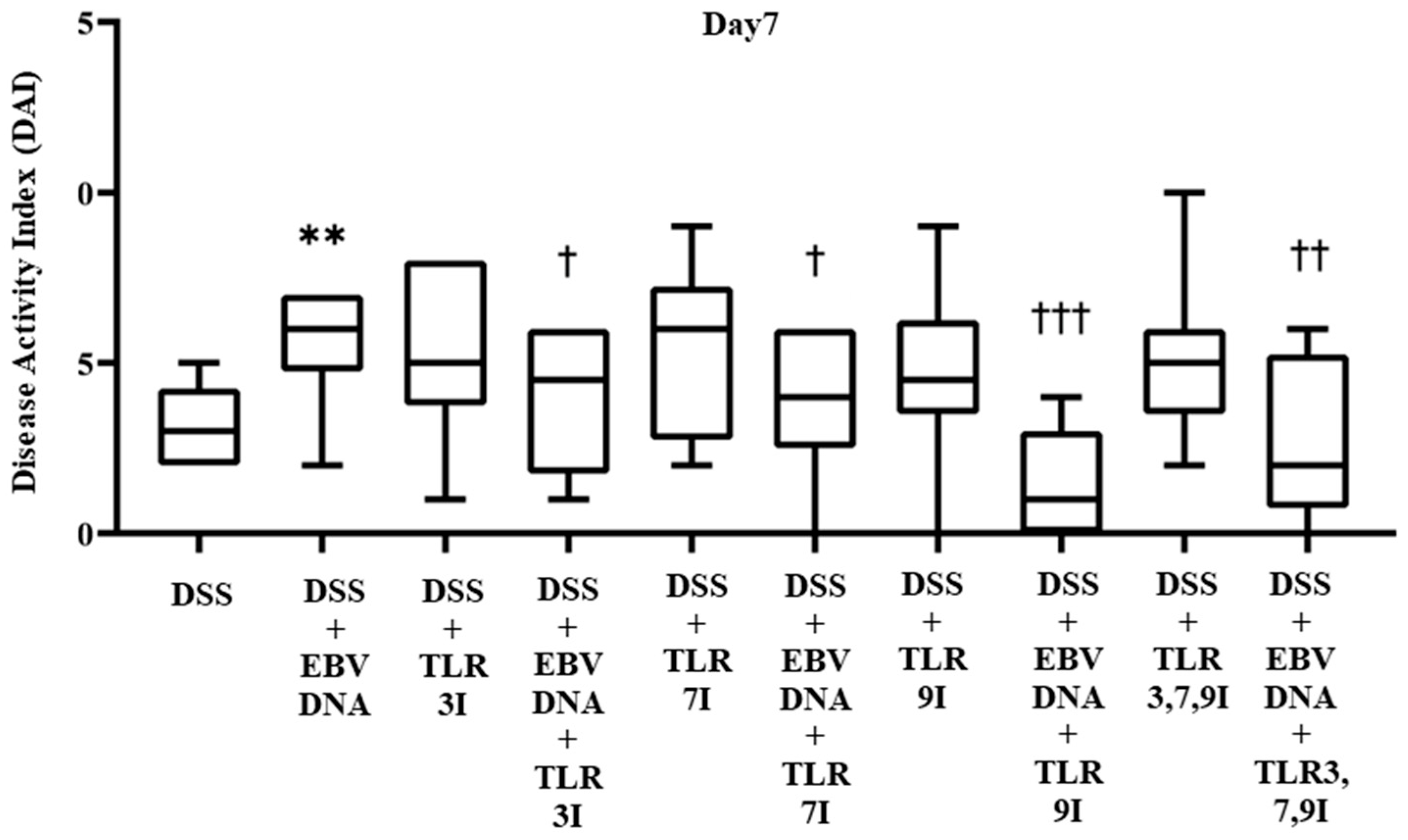 Viruses 16 00624 g002