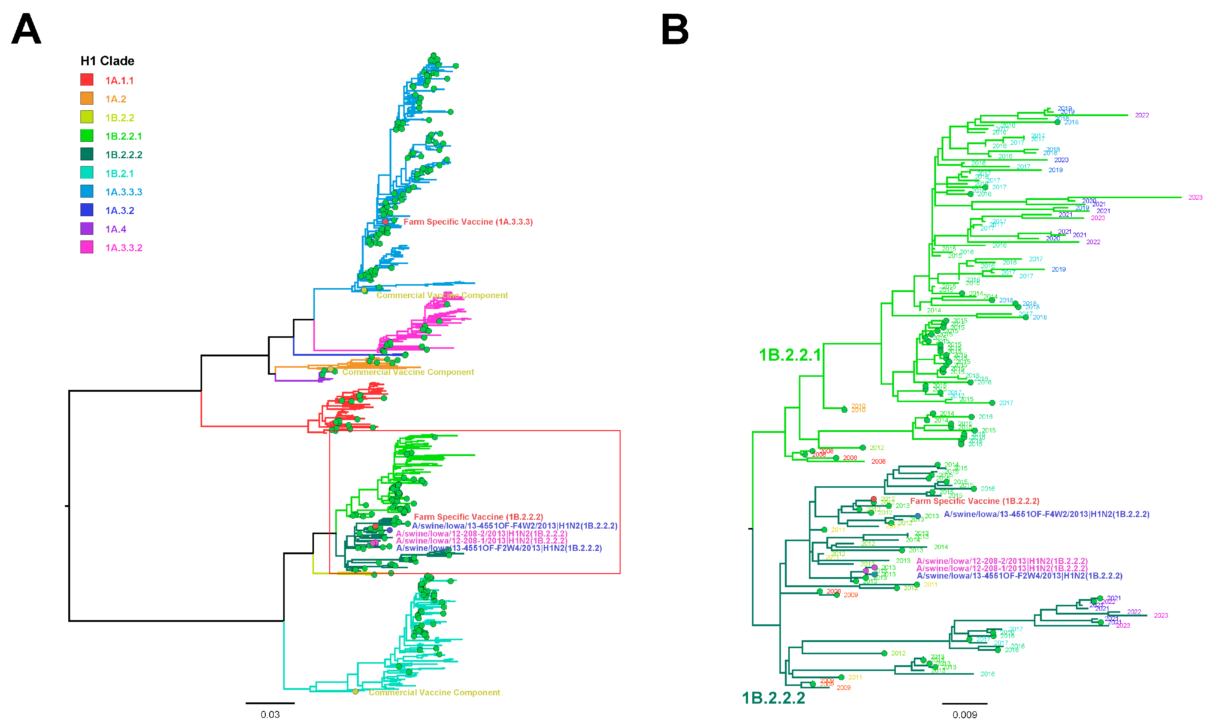 Viruses 16 00626 g001