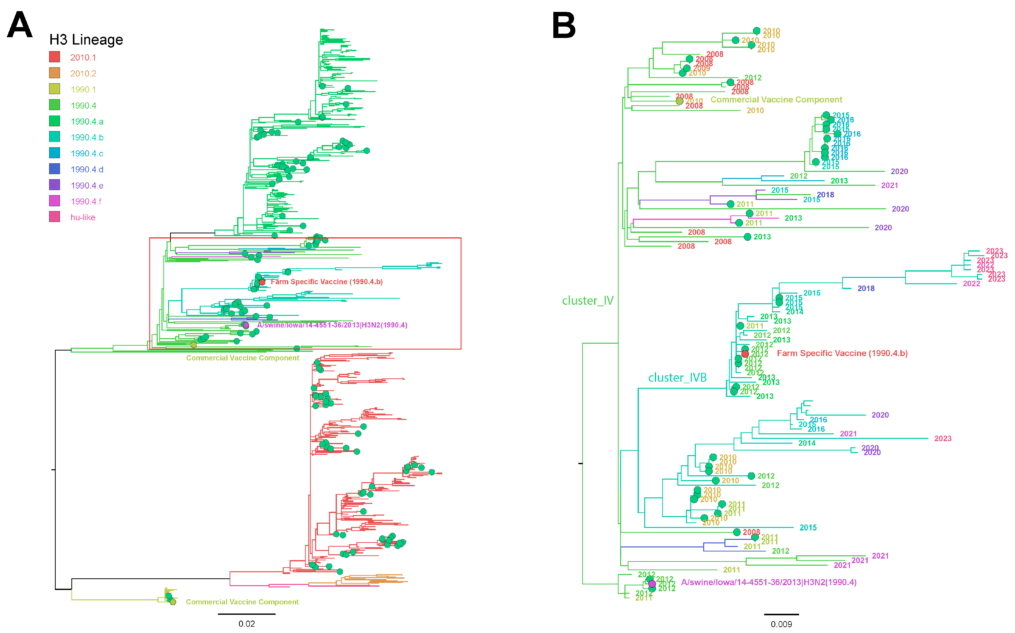 Viruses 16 00626 g002