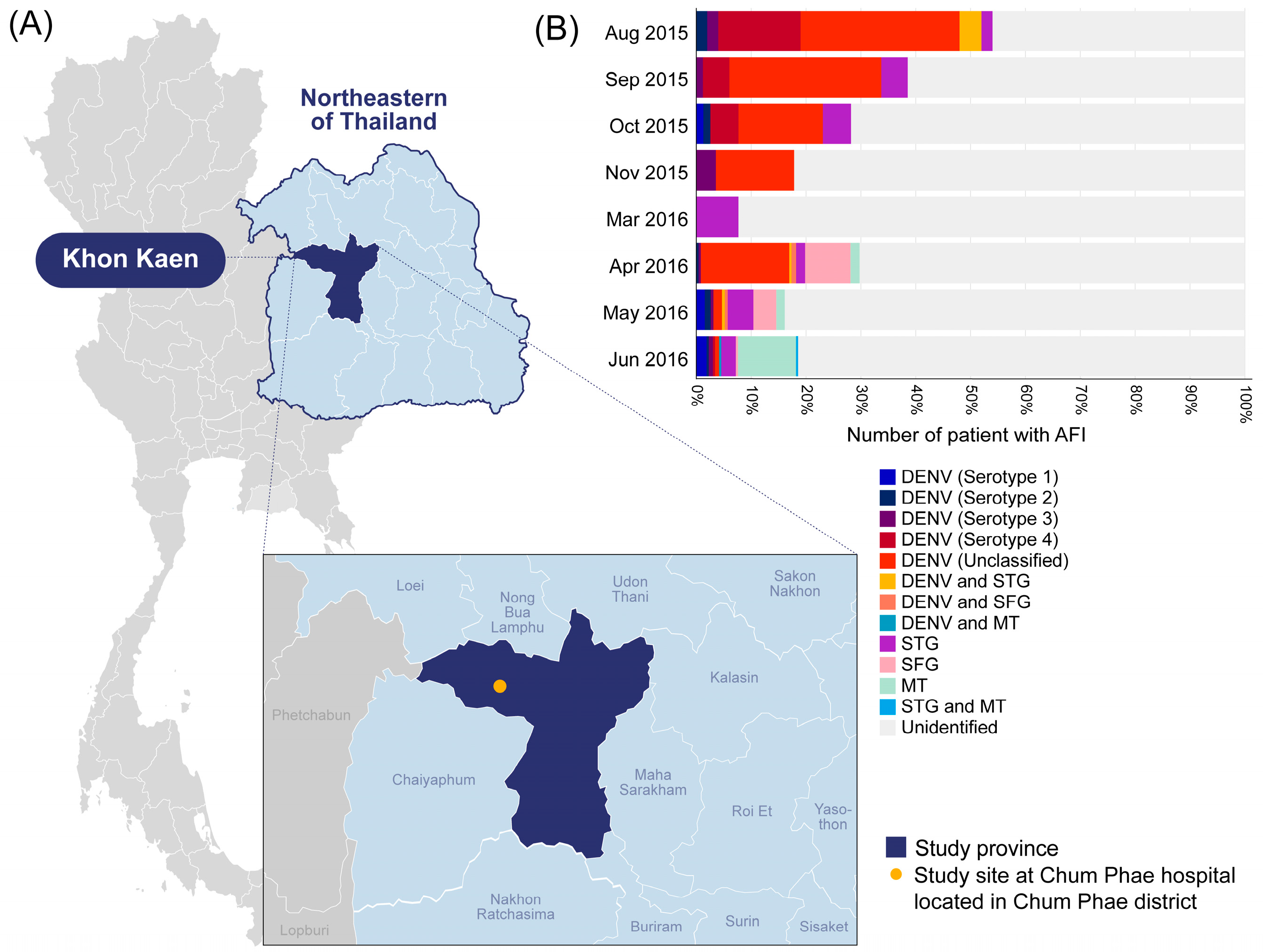 Viruses 16 00630 g001