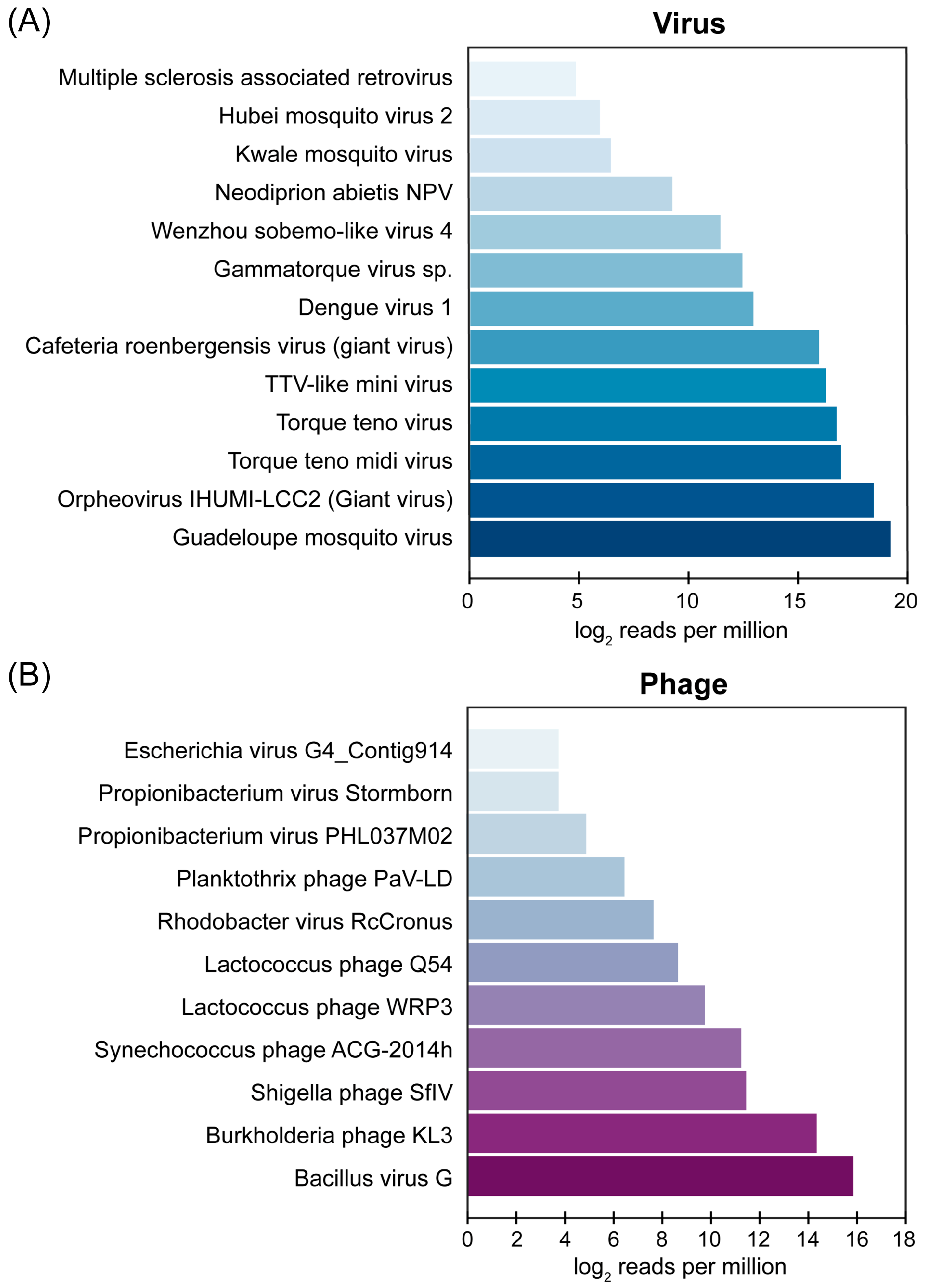 Viruses 16 00630 g003