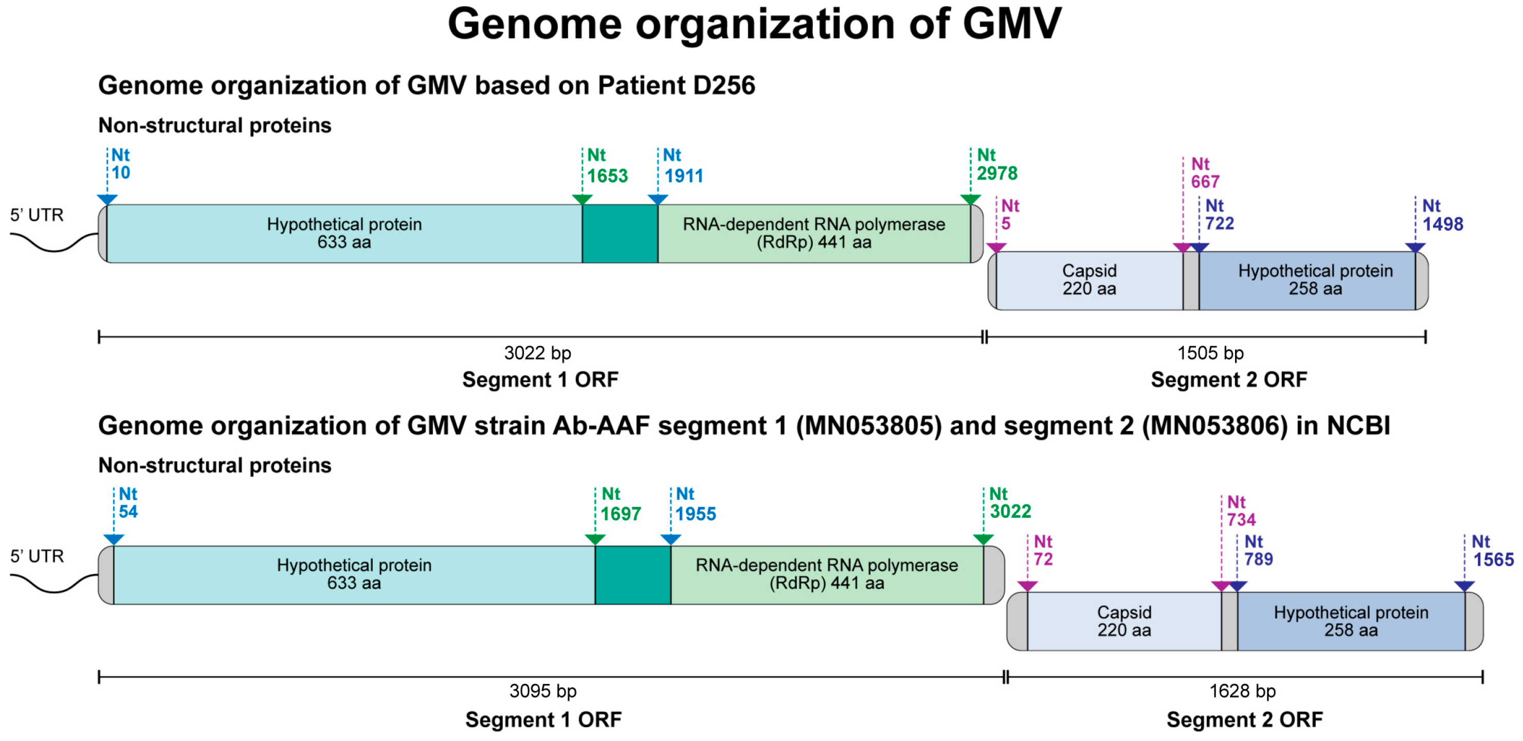 Viruses 16 00630 g004