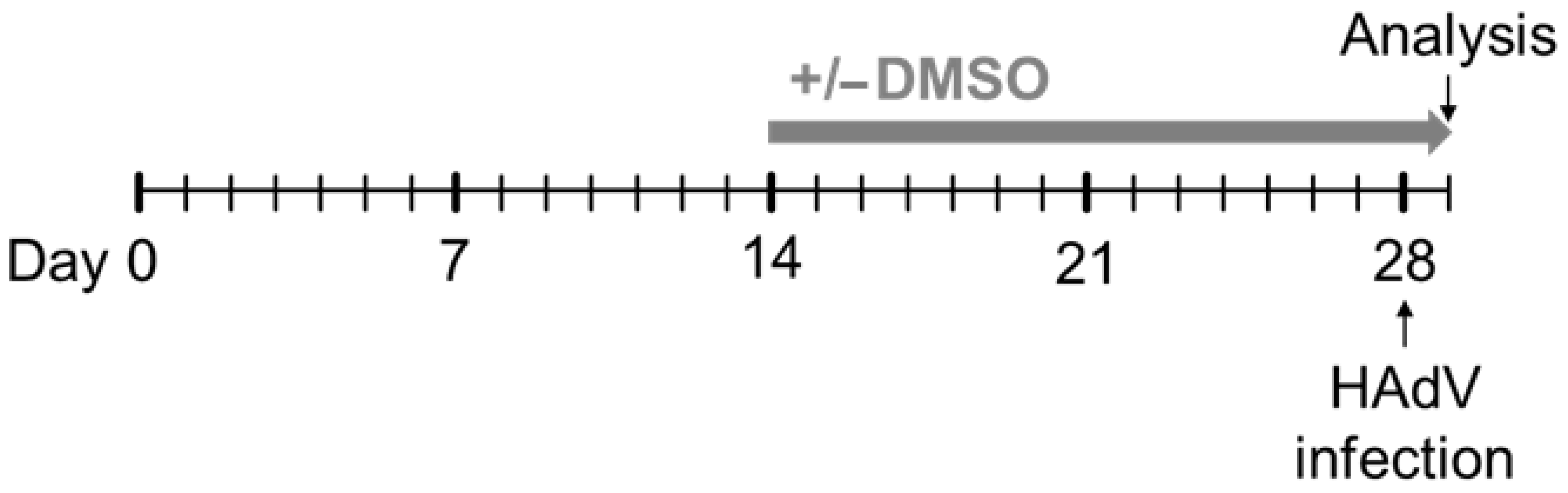 Viruses 16 00633 g001 Viruses 16 00633 g001
