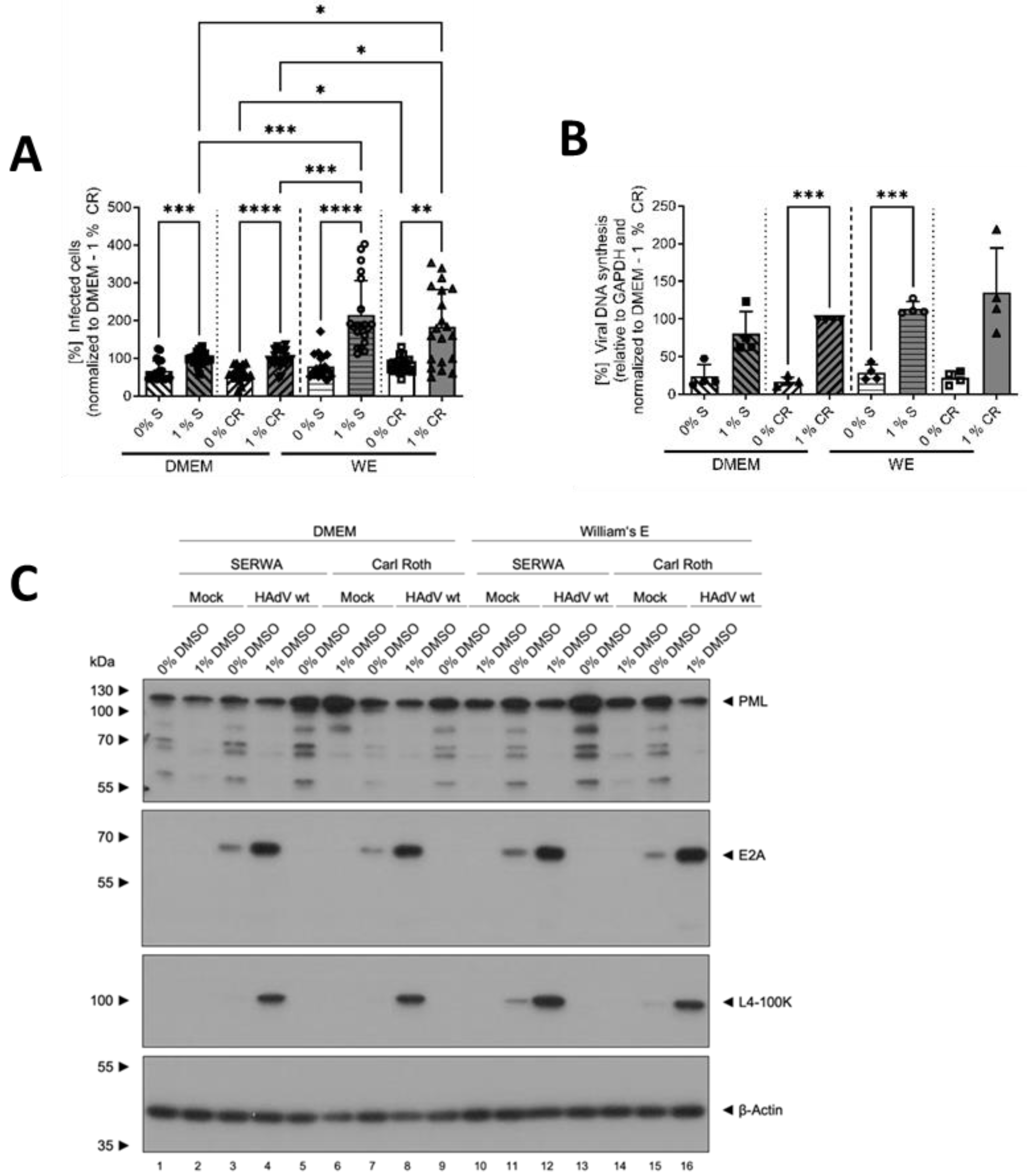 Viruses 16 00633 g002a Viruses 16 00633 g002a
