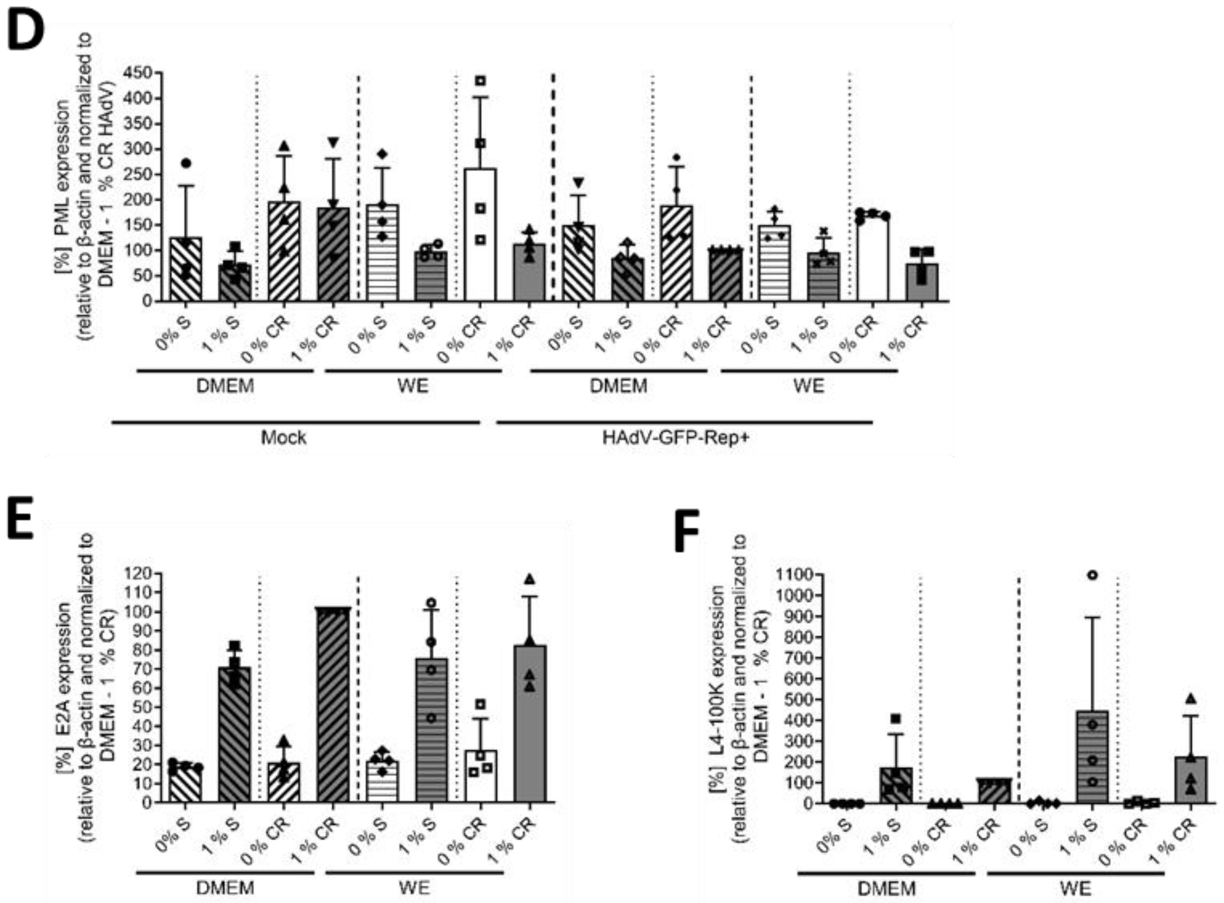Viruses 16 00633 g002b Viruses 16 00633 g002b