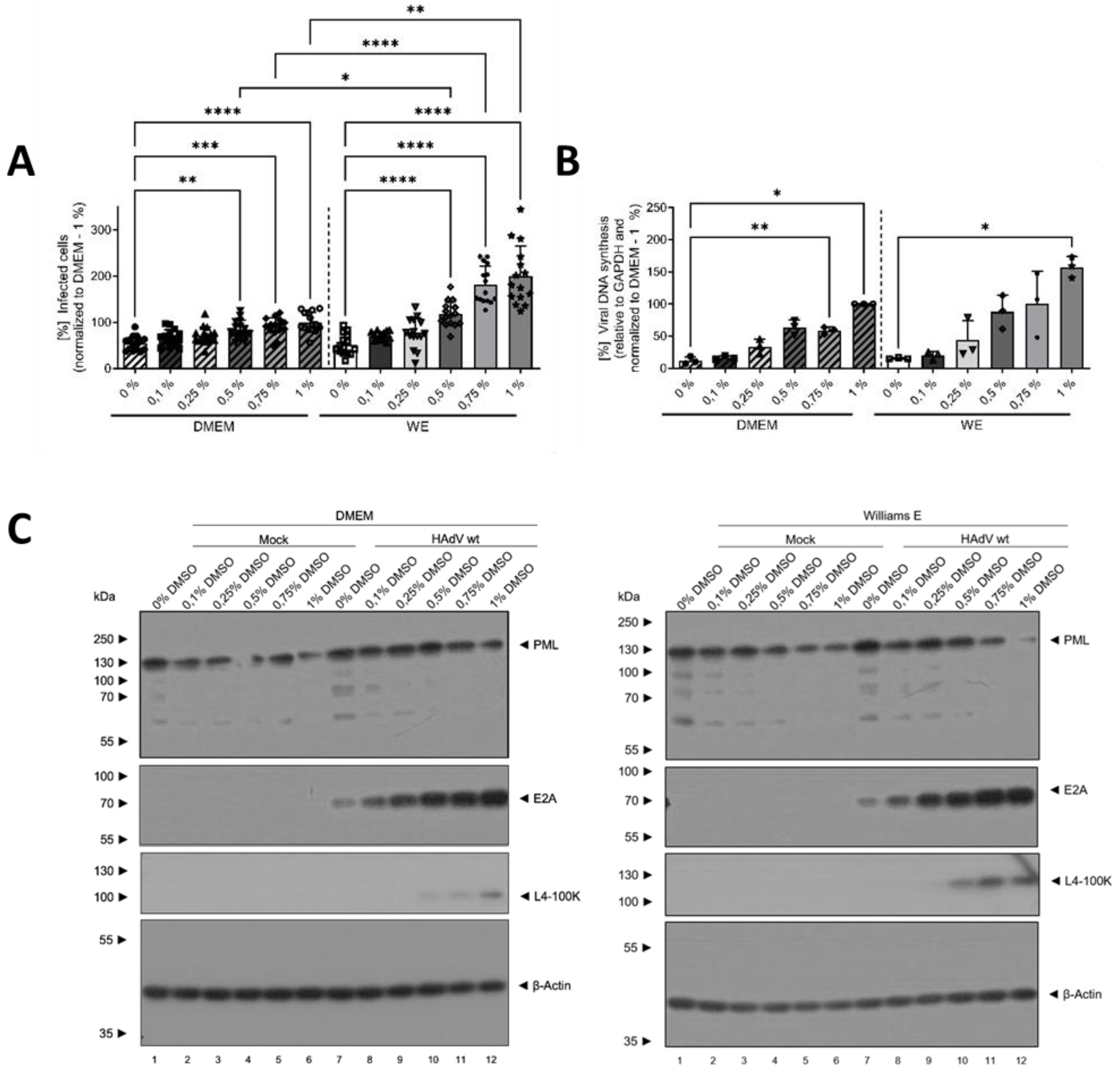 Viruses 16 00633 g003a Viruses 16 00633 g003a