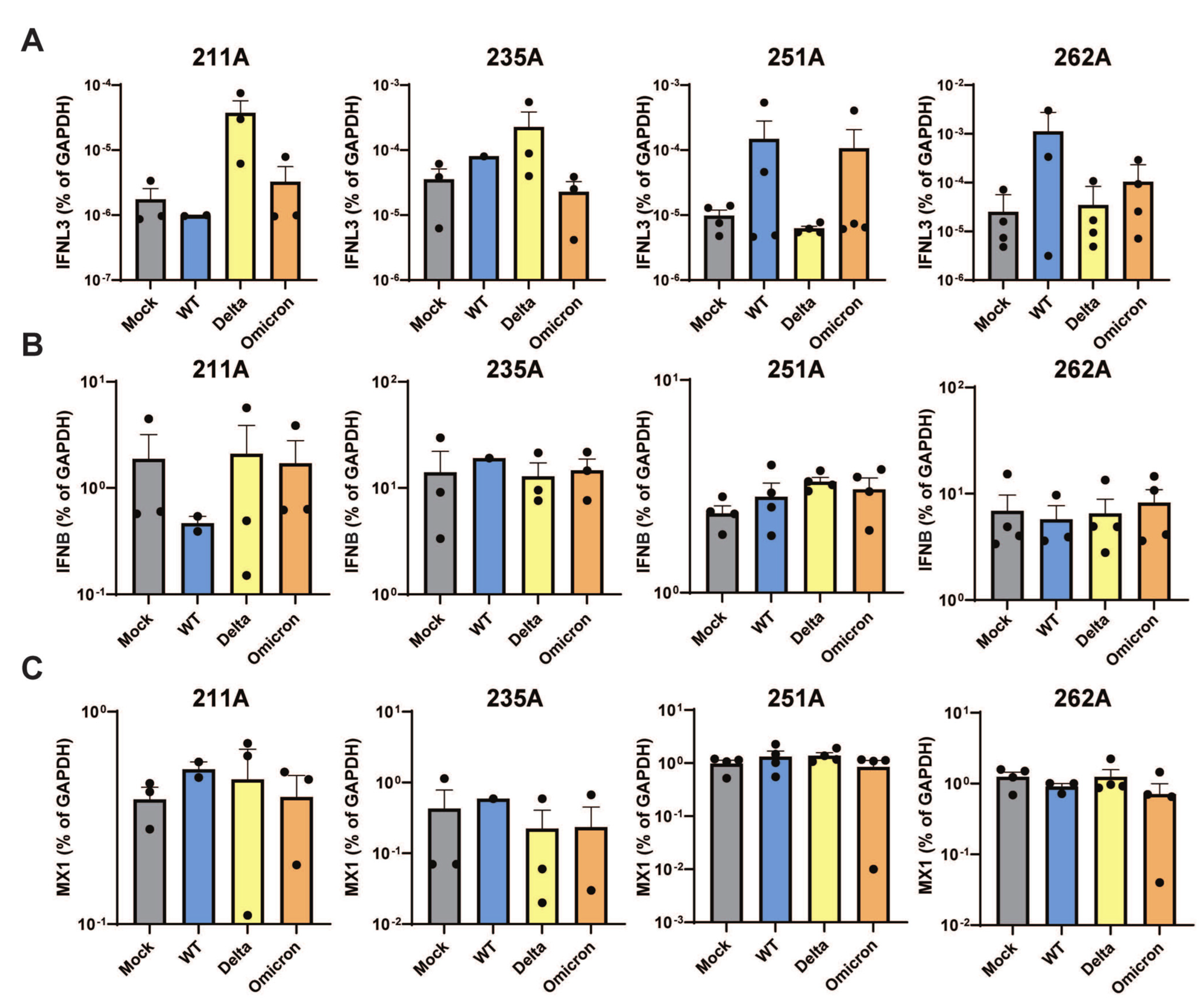 Viruses 16 00634 g003