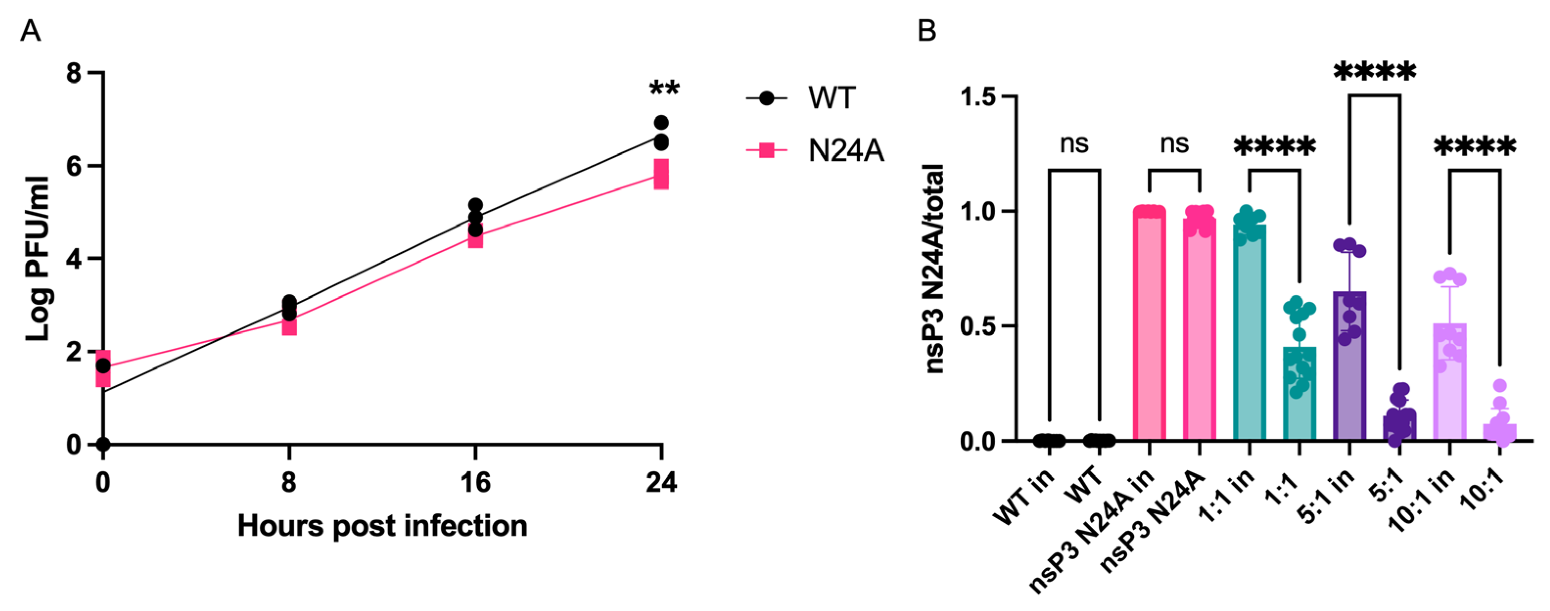 Viruses 16 00636 g001