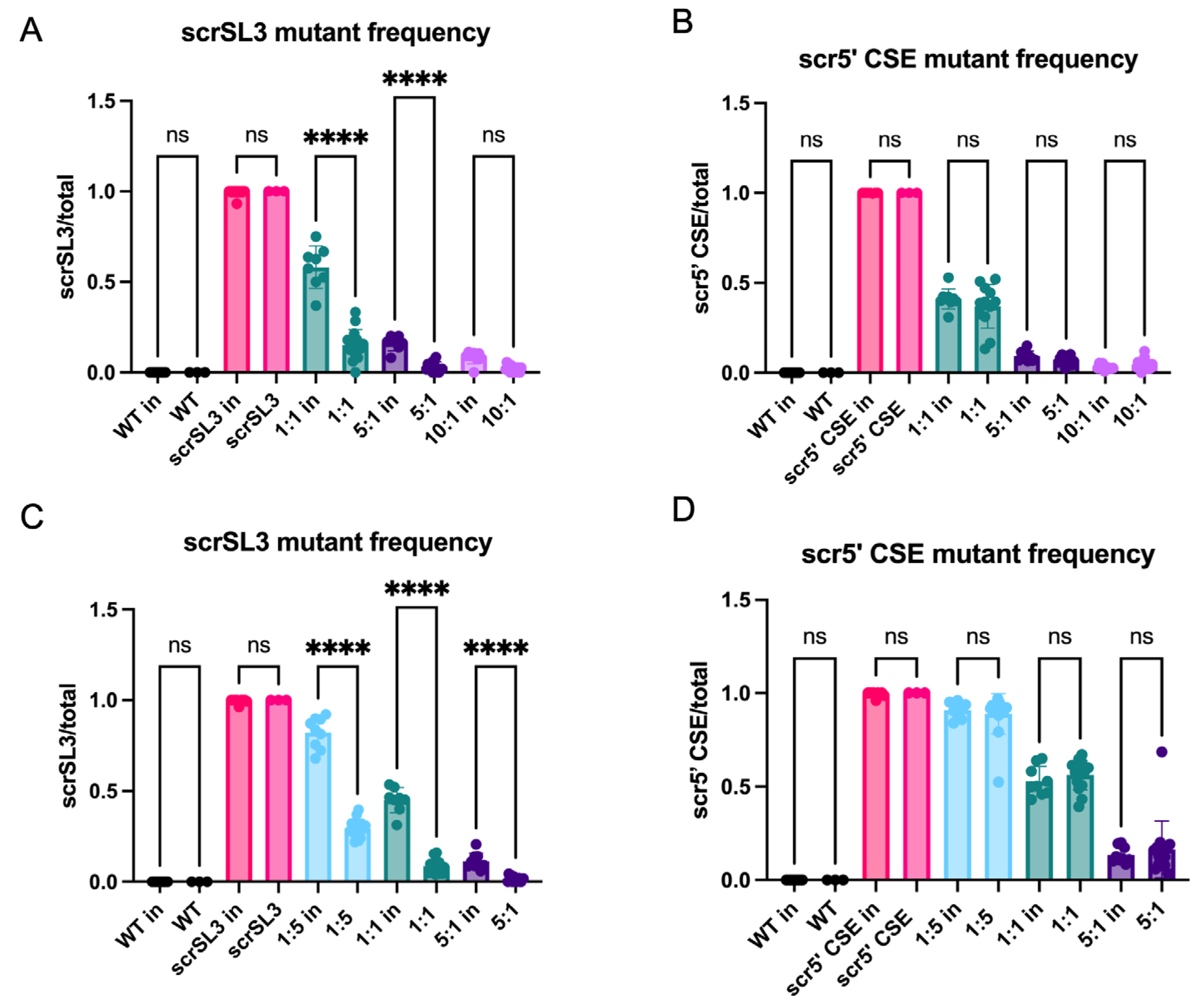 Viruses 16 00636 g003