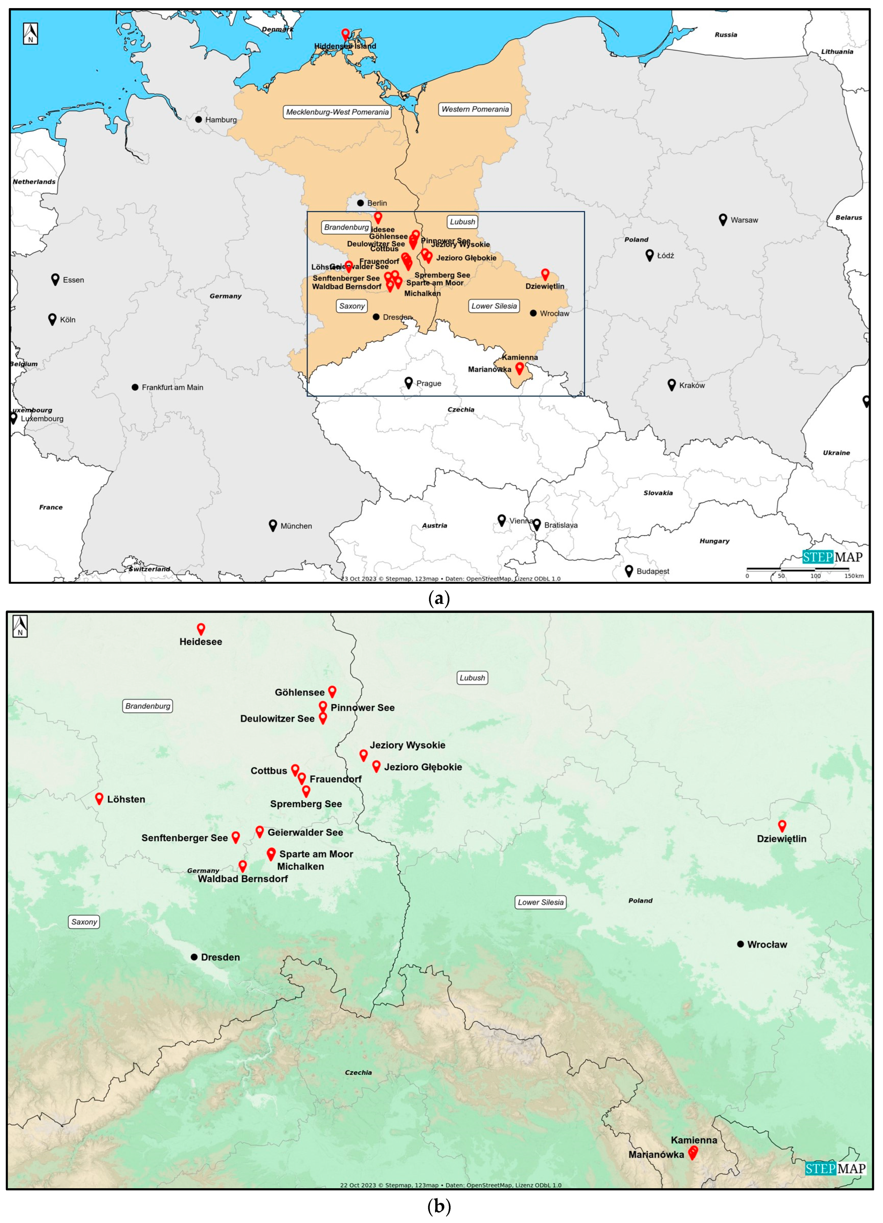 Viruses 16 00637 g001 Viruses 16 00637 g001