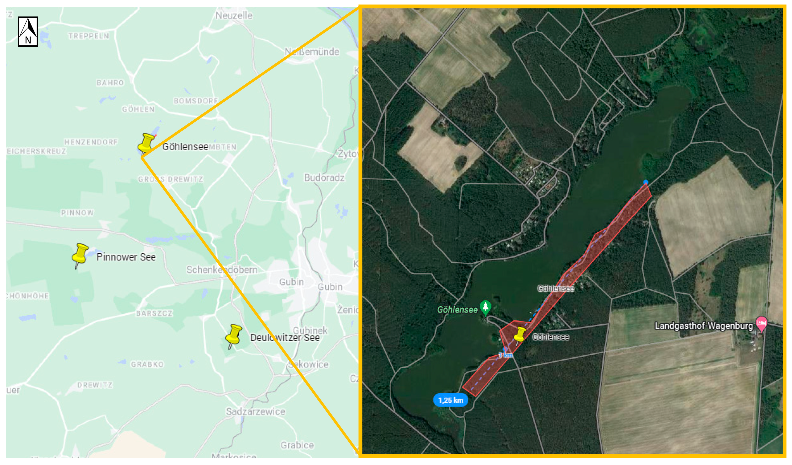 Viruses 16 00637 g003 Viruses 16 00637 g003