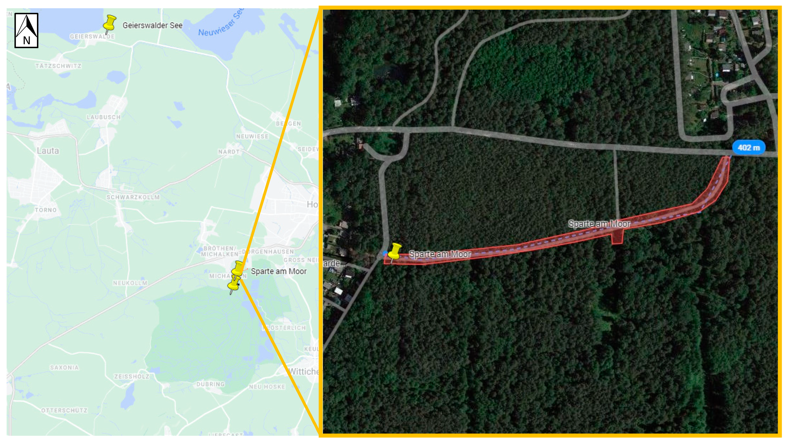 Viruses 16 00637 g007 Viruses 16 00637 g007