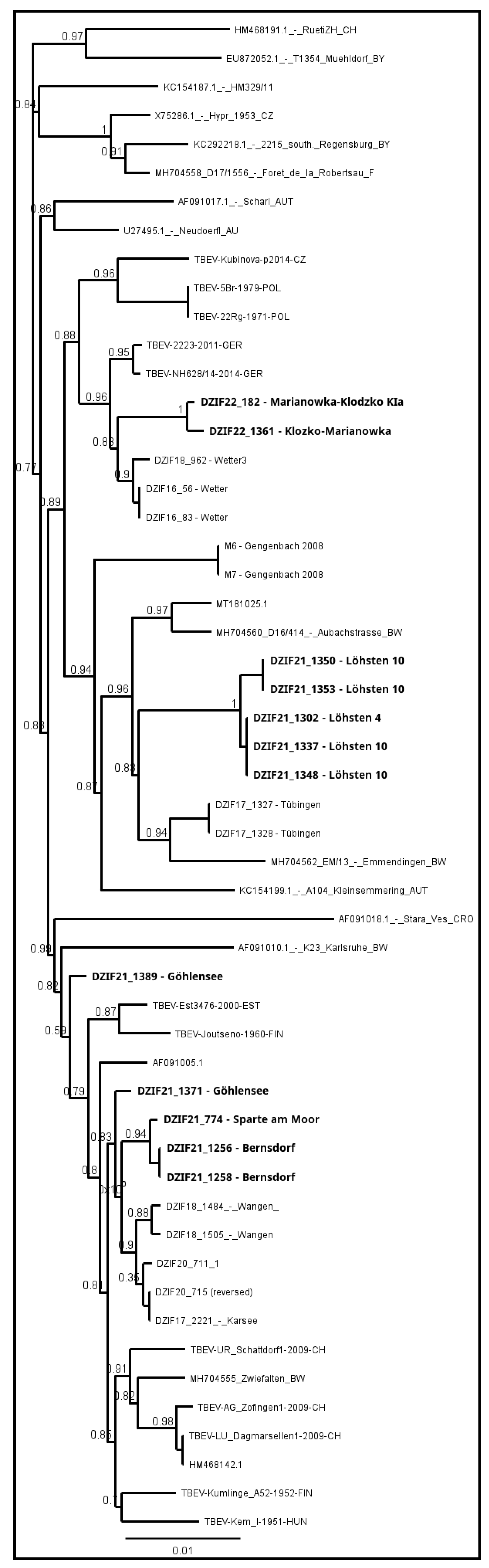 Viruses 16 00637 g008 Viruses 16 00637 g008
