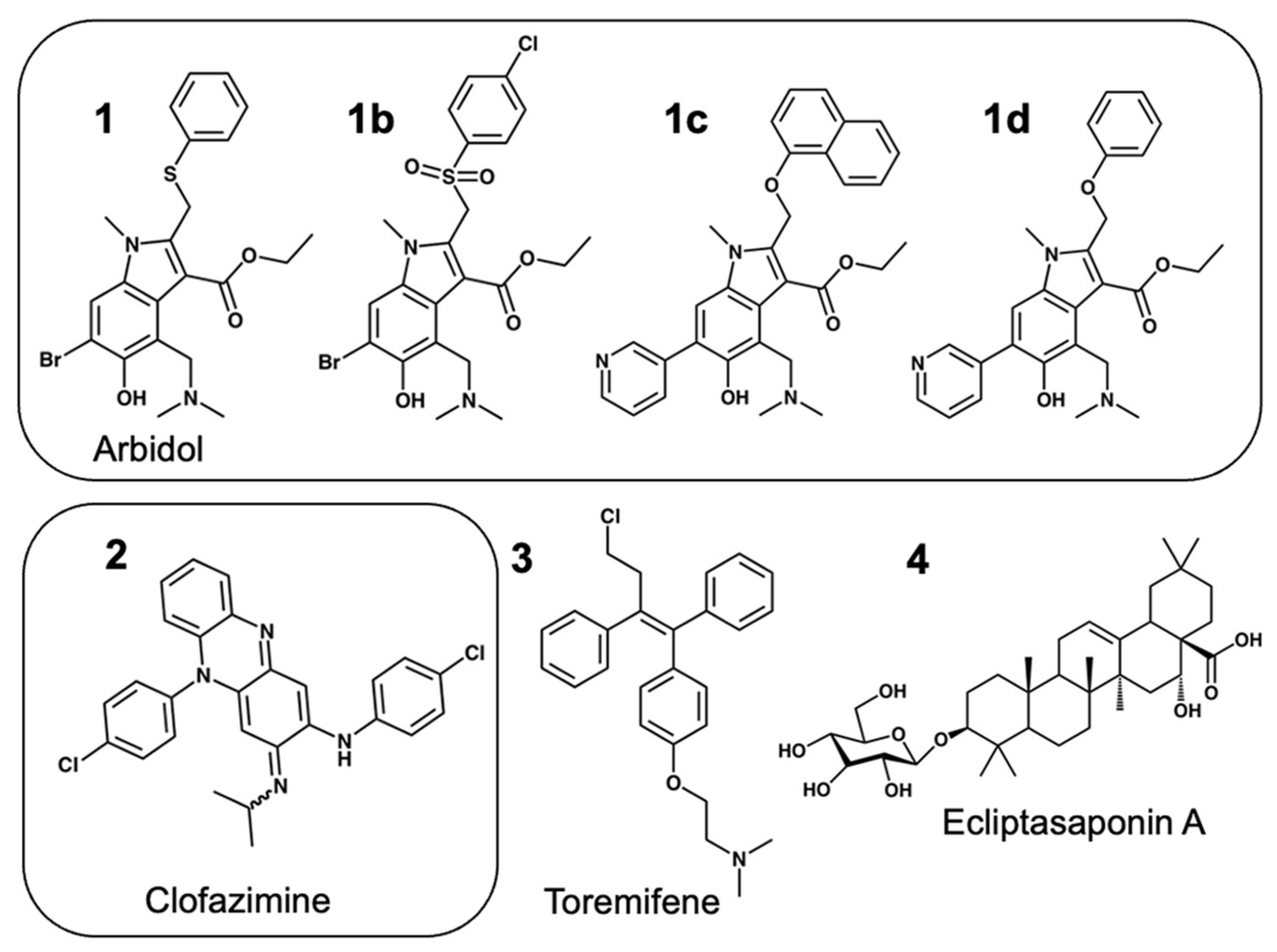 Viruses 16 00640 g001