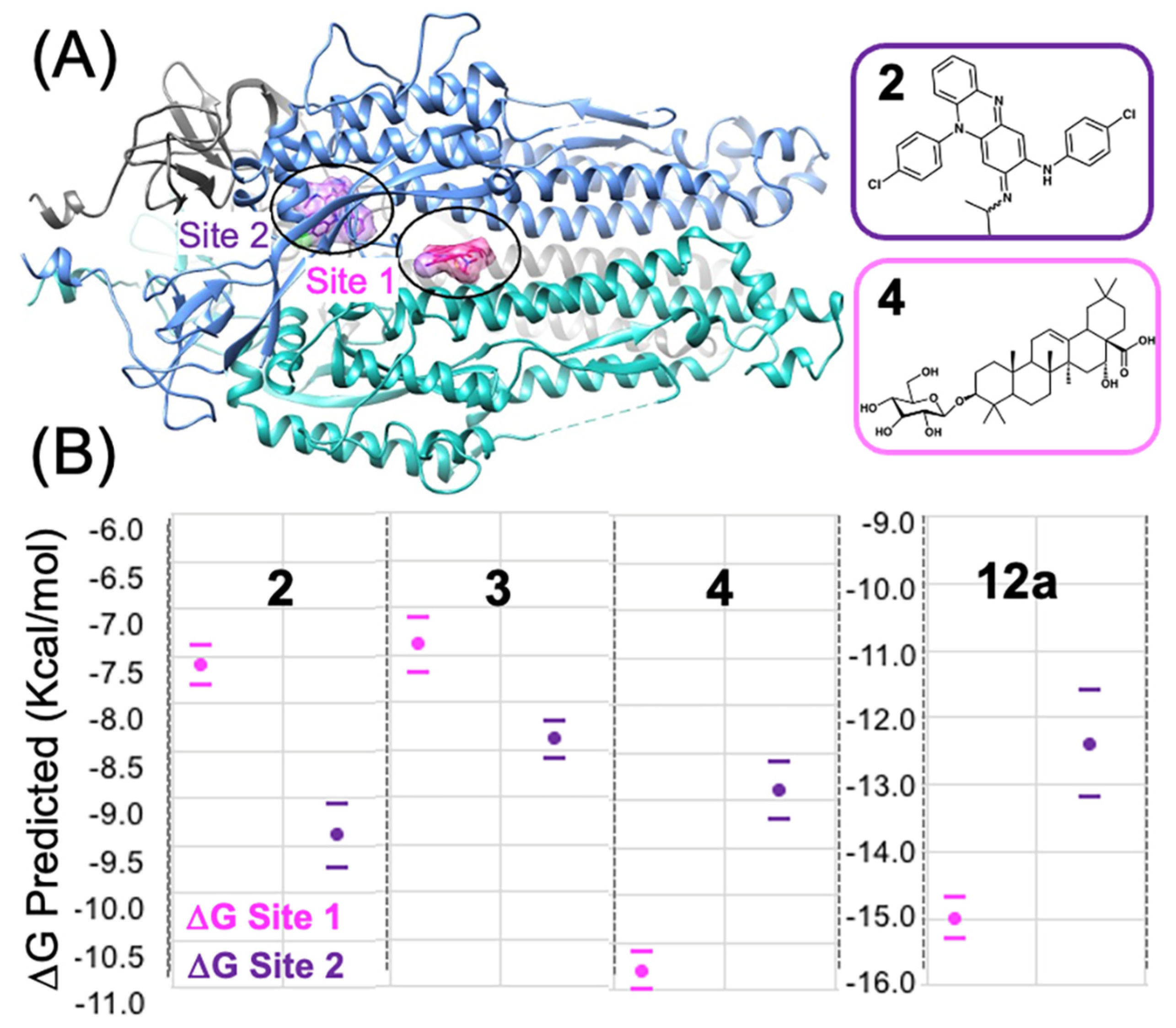 Viruses 16 00640 g006