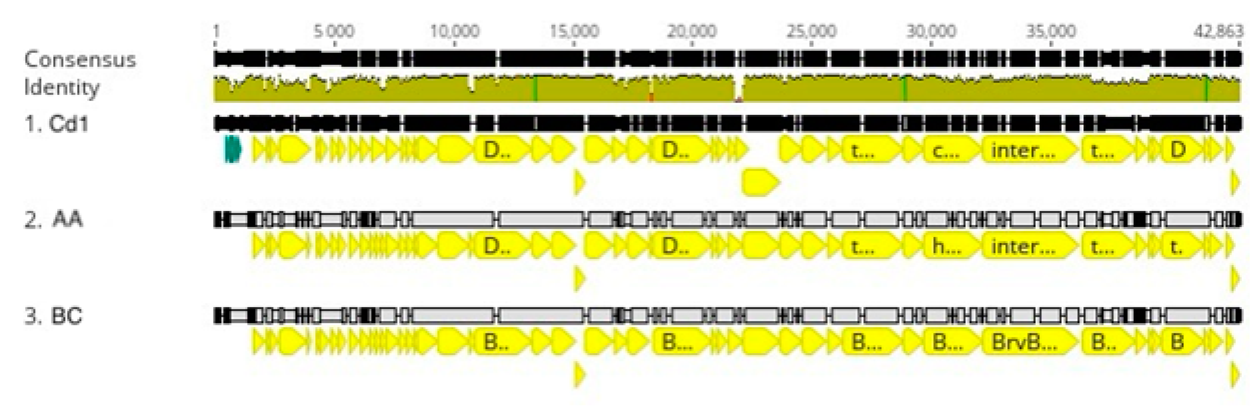 Viruses 16 00641 g004