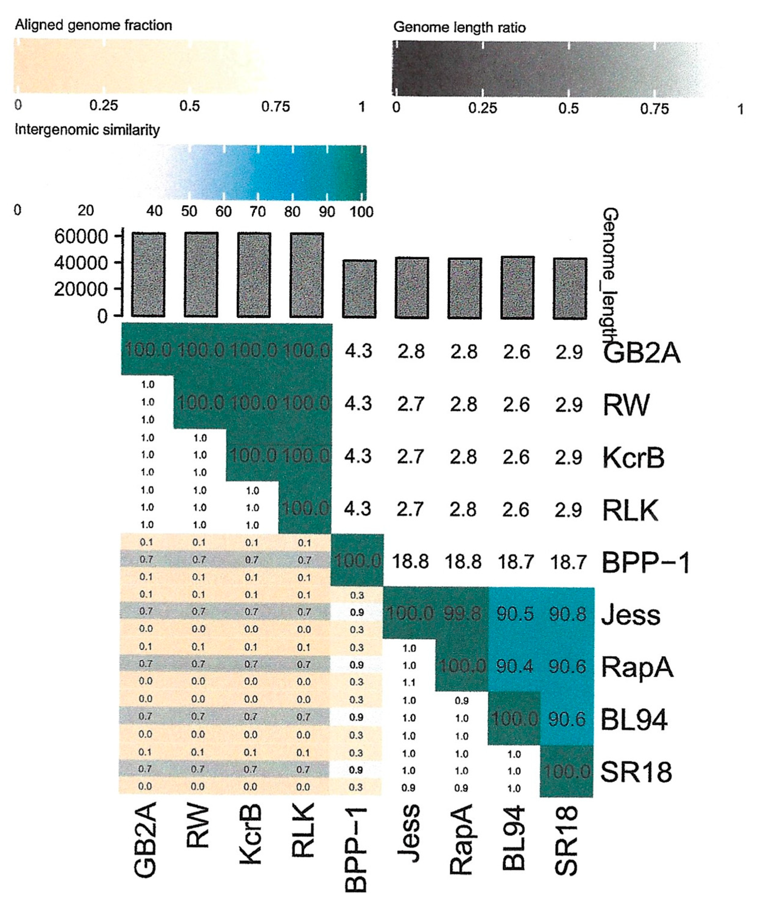 Viruses 16 00641 g006