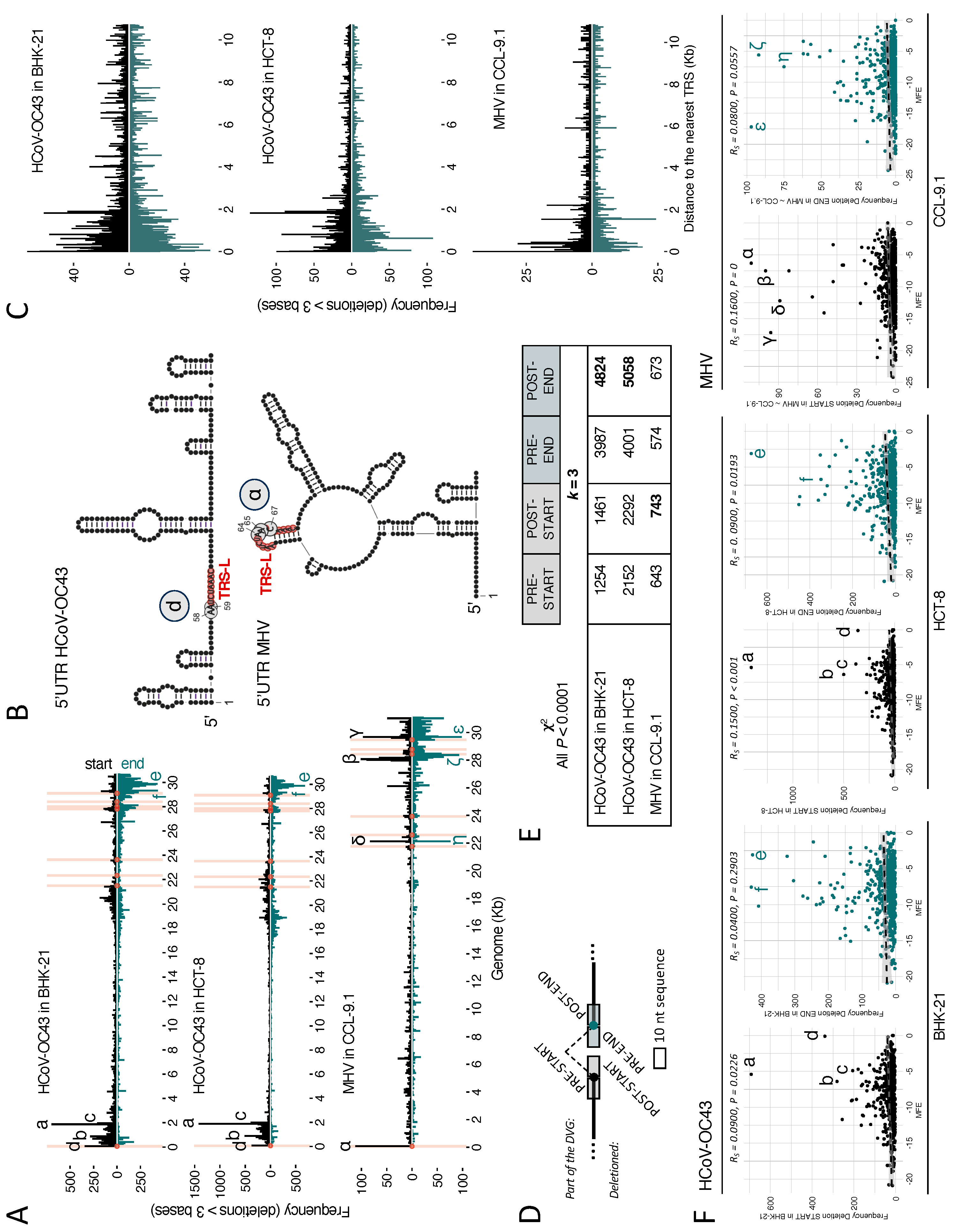 Viruses 16 00644 g005