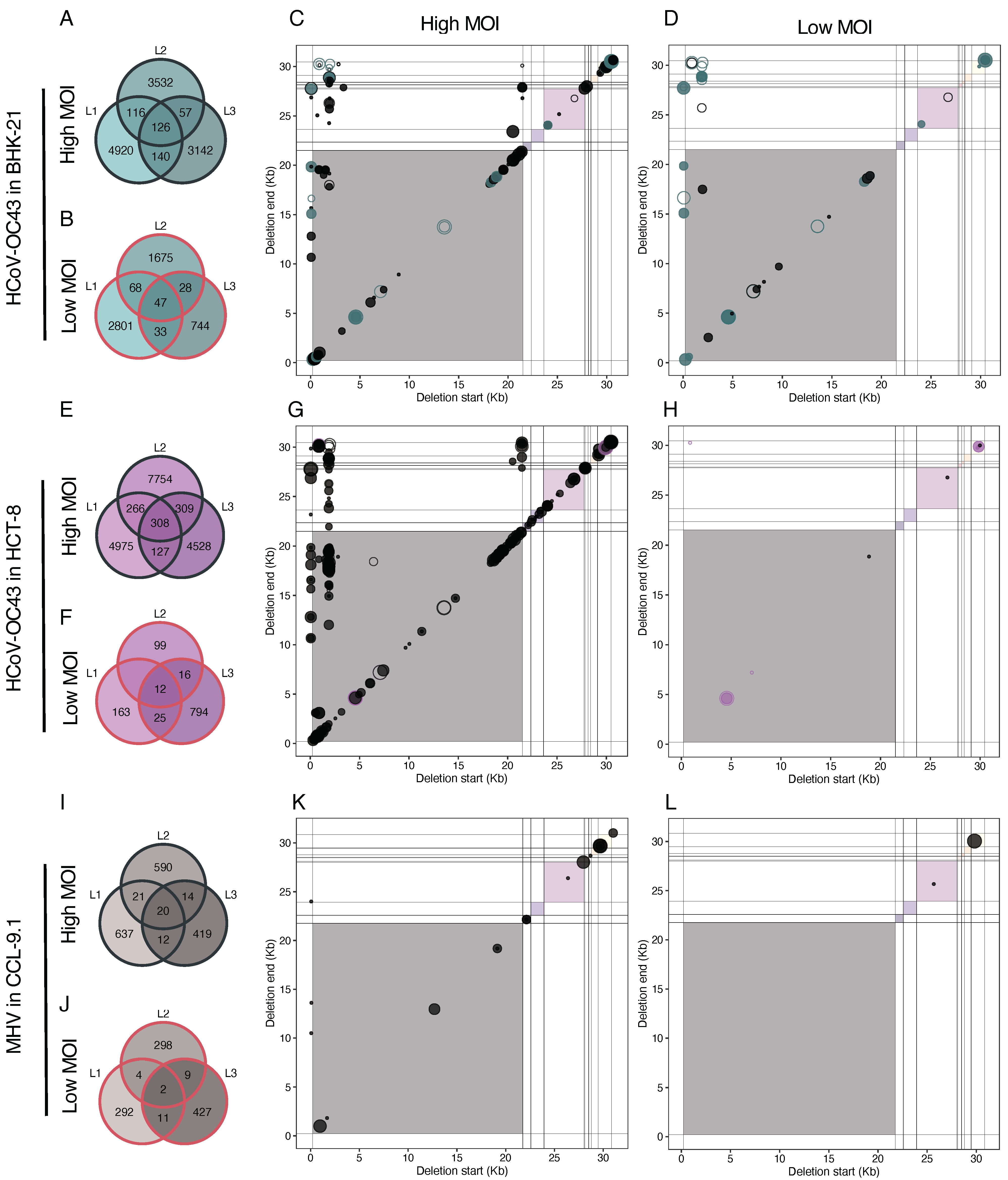 Viruses 16 00644 g009