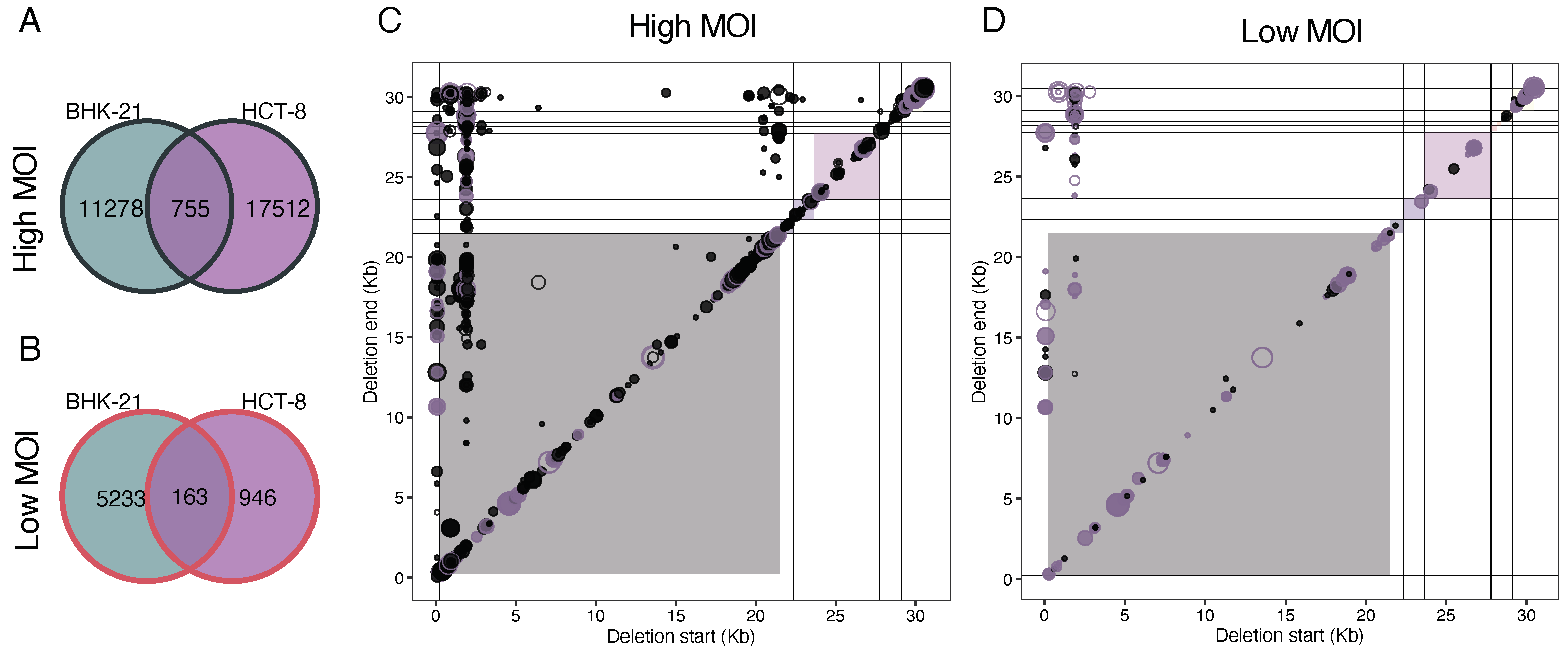 Viruses 16 00644 g010