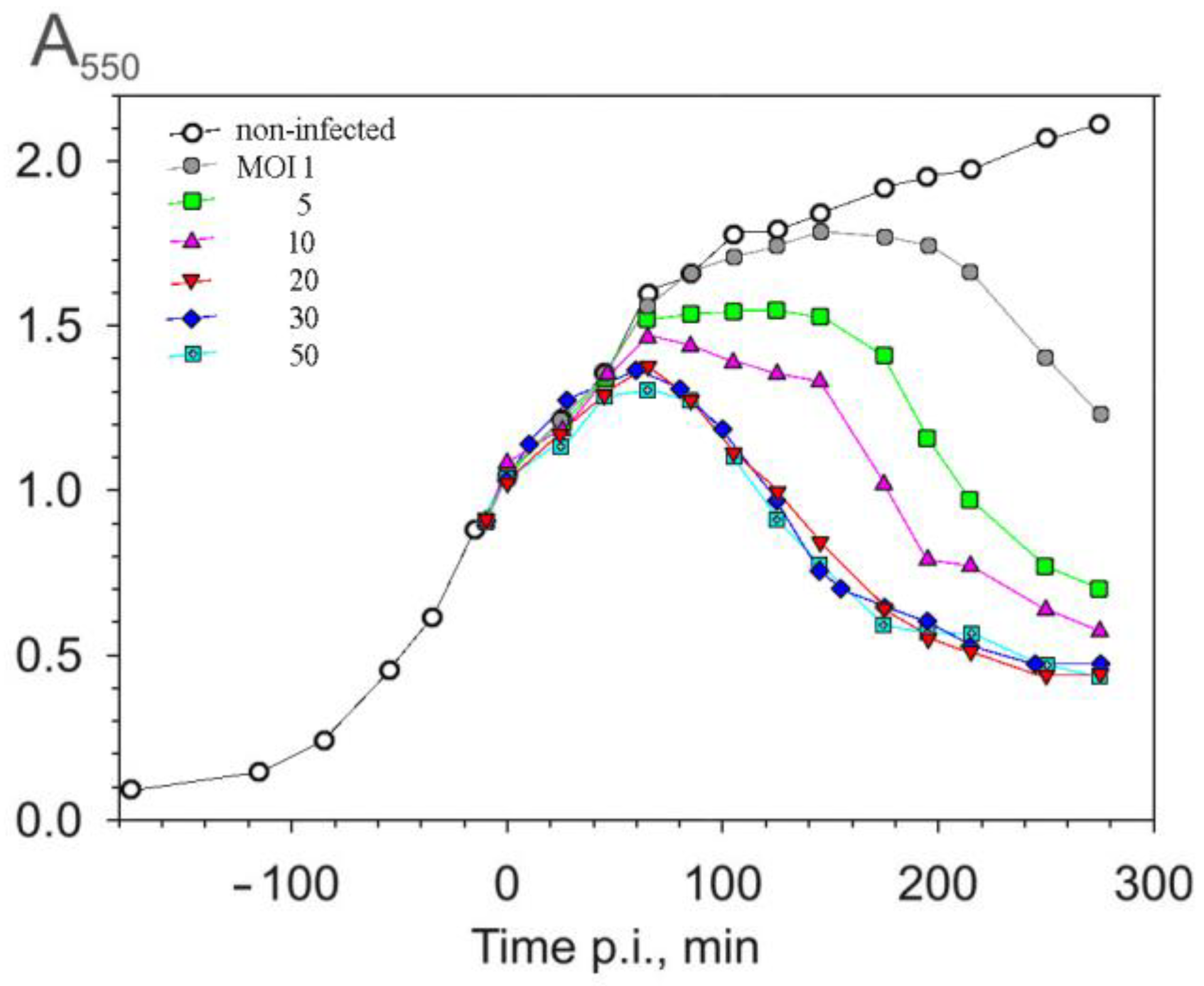 Viruses 16 00645 g001