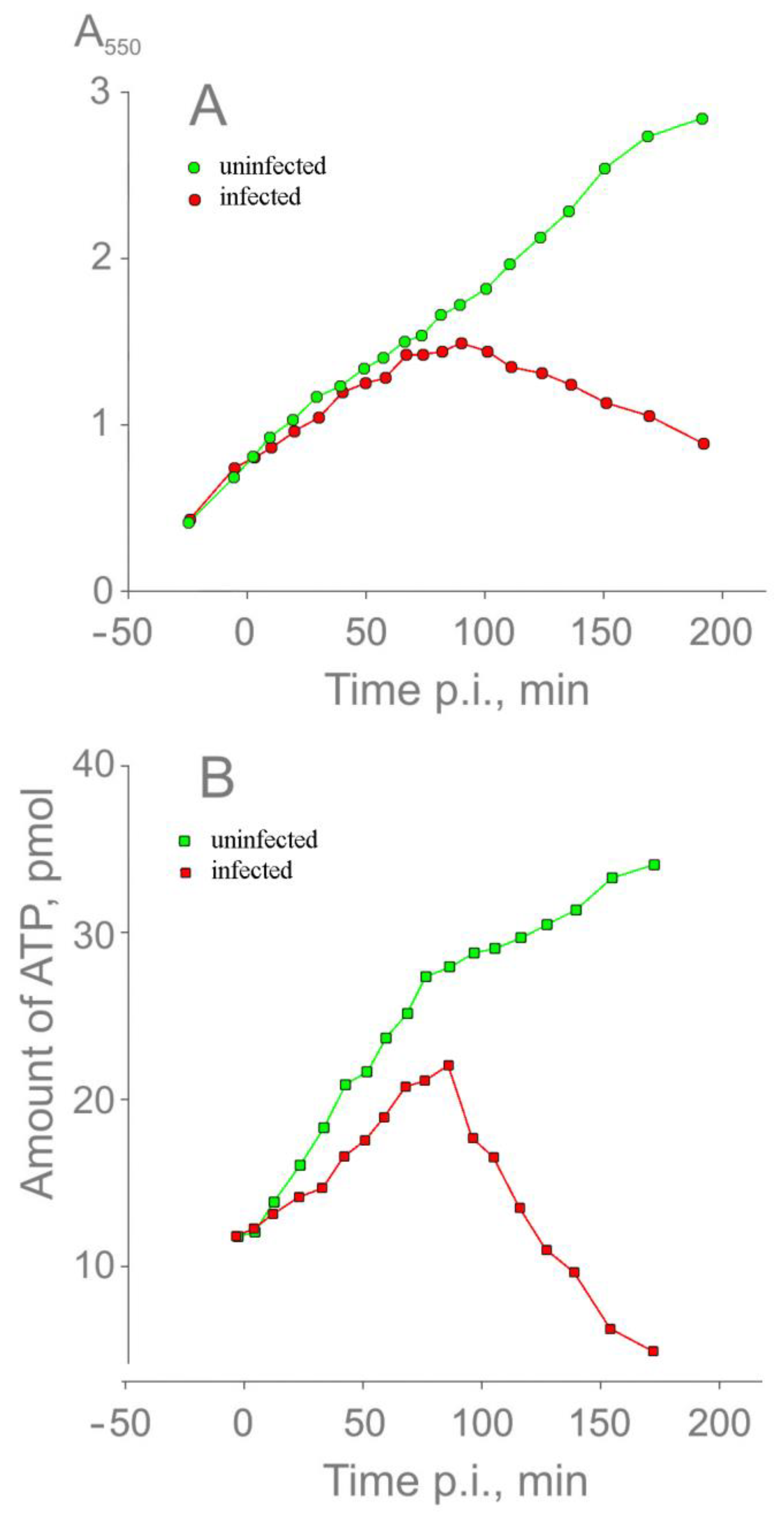 Viruses 16 00645 g004