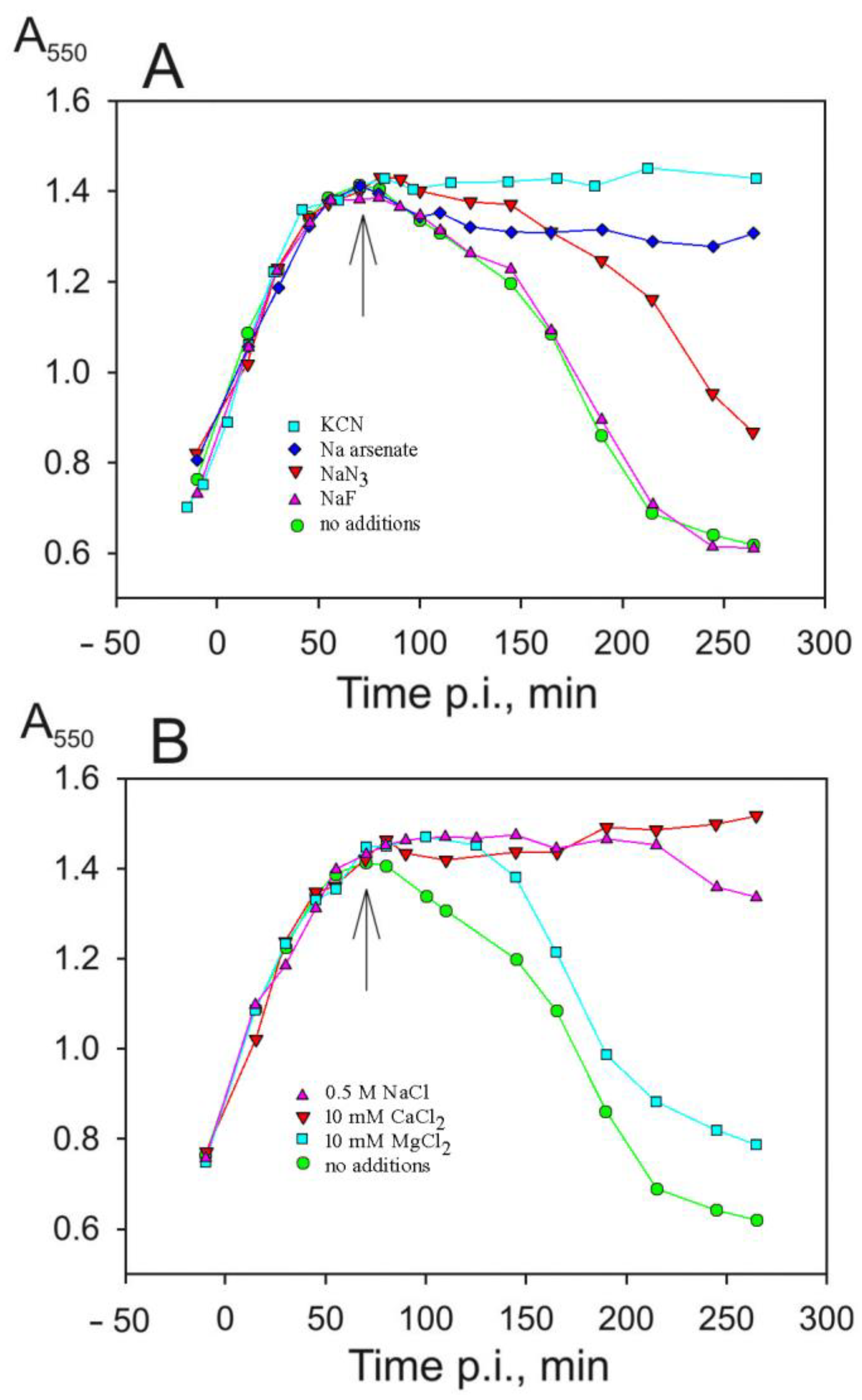 Viruses 16 00645 g006