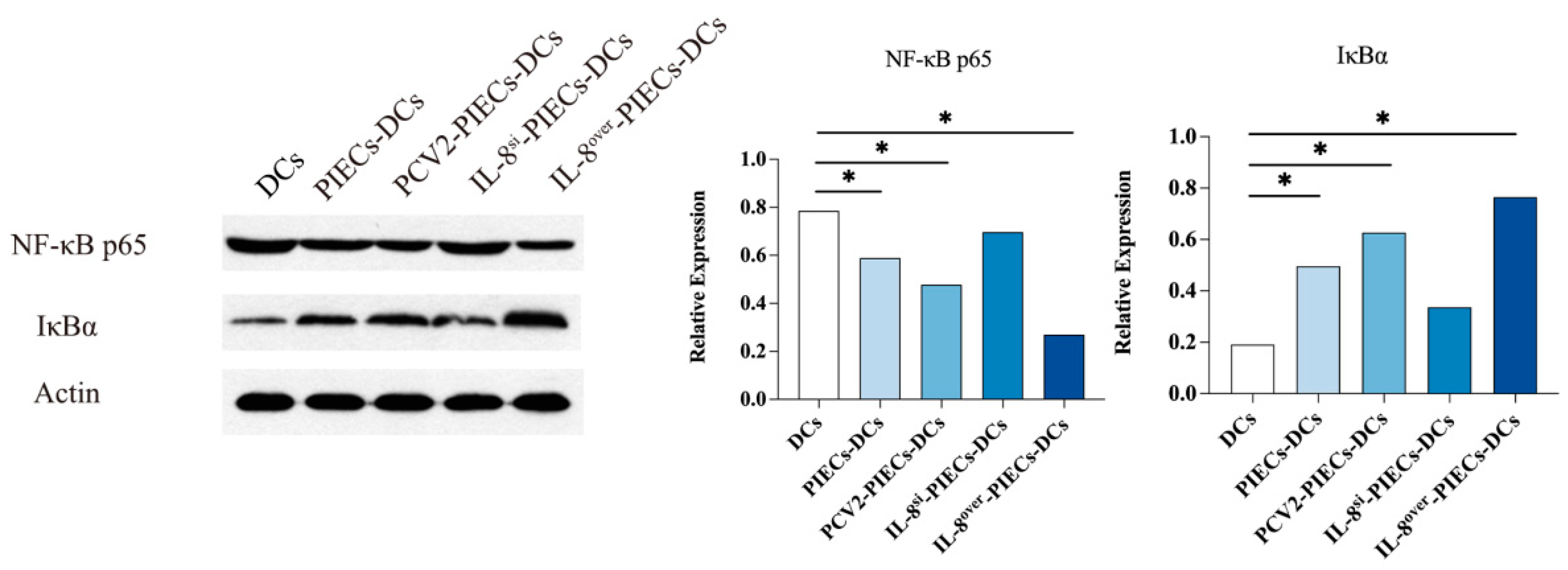 Viruses 16 00646 g001