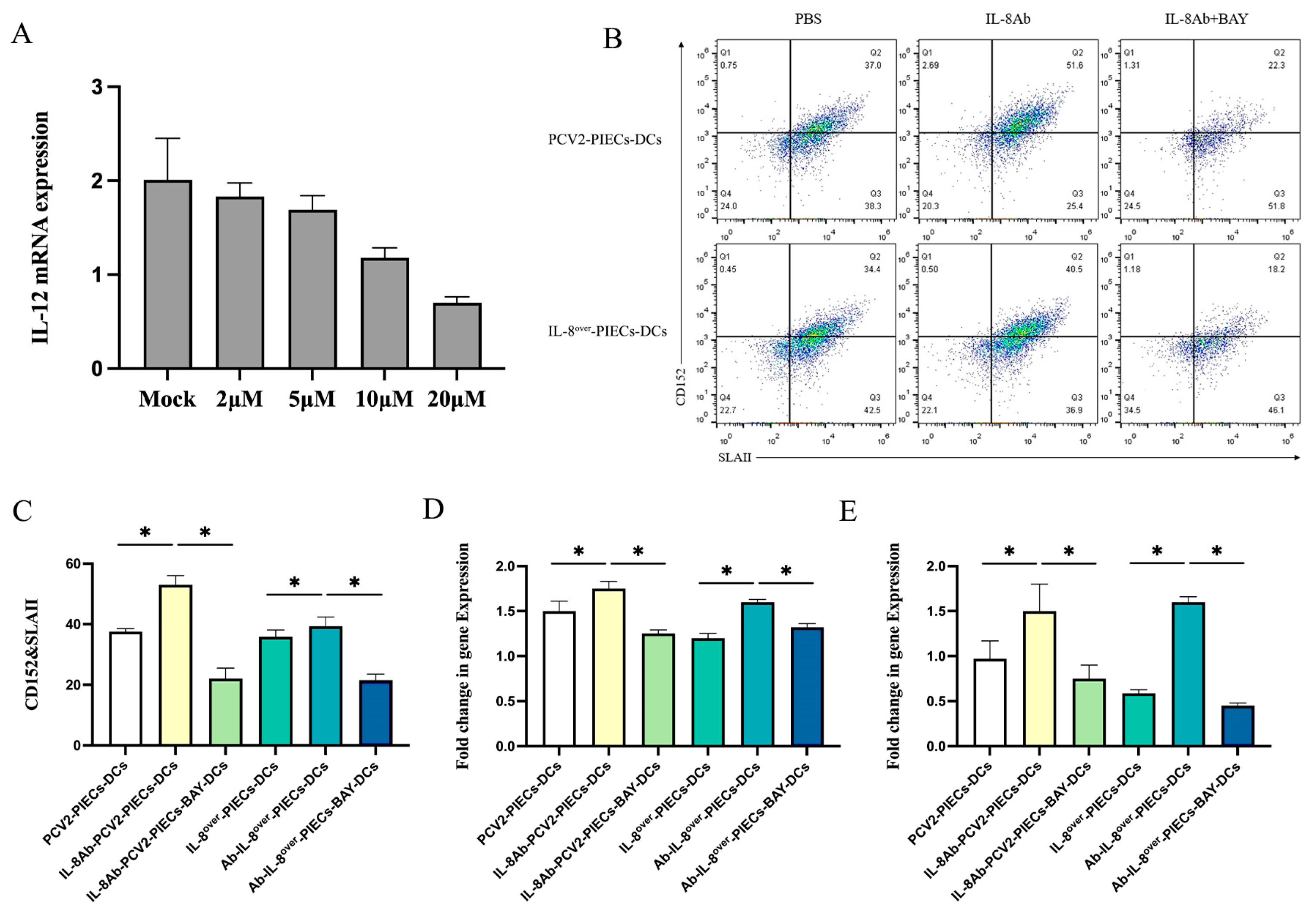 Viruses 16 00646 g003