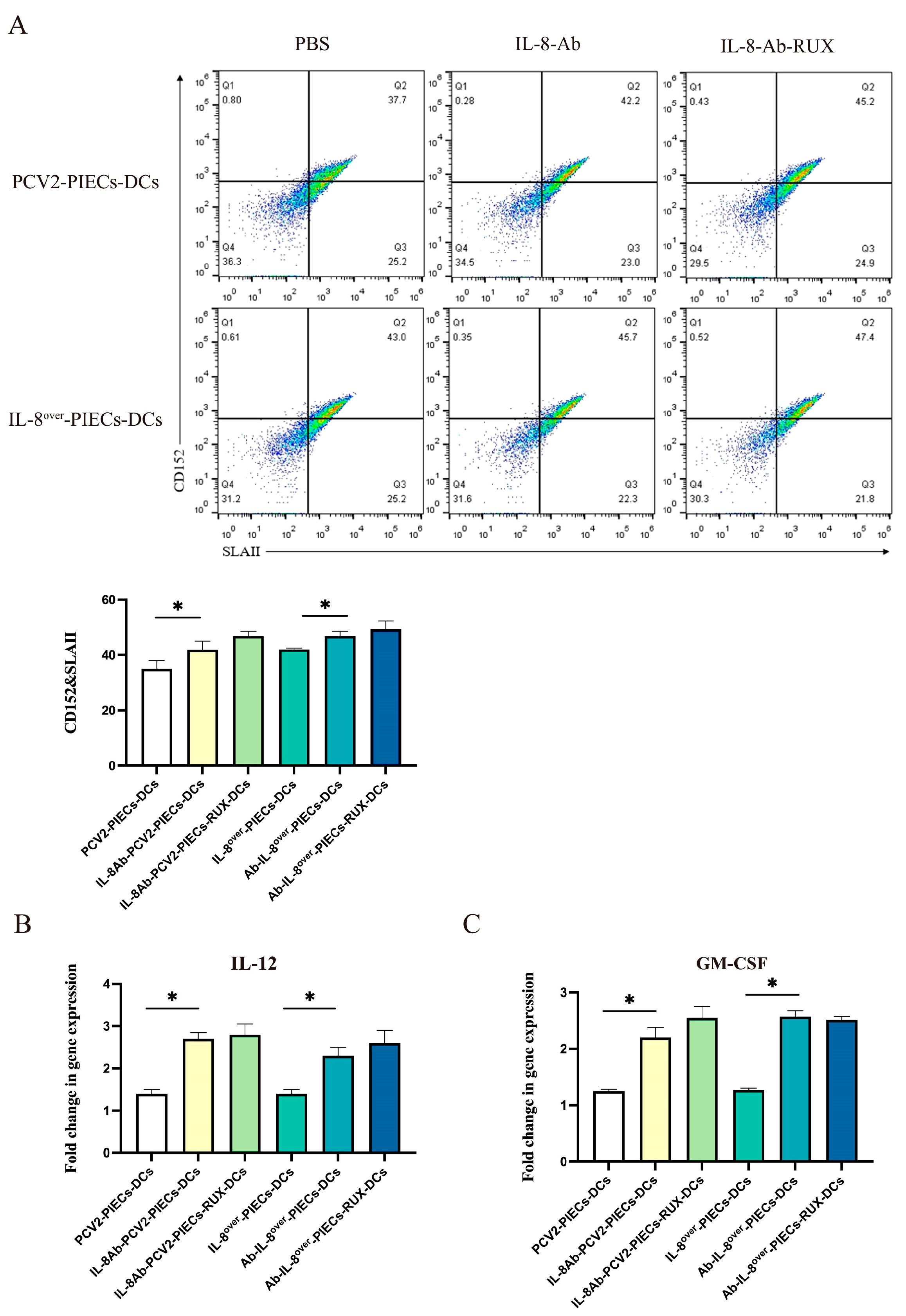 Viruses 16 00646 g004