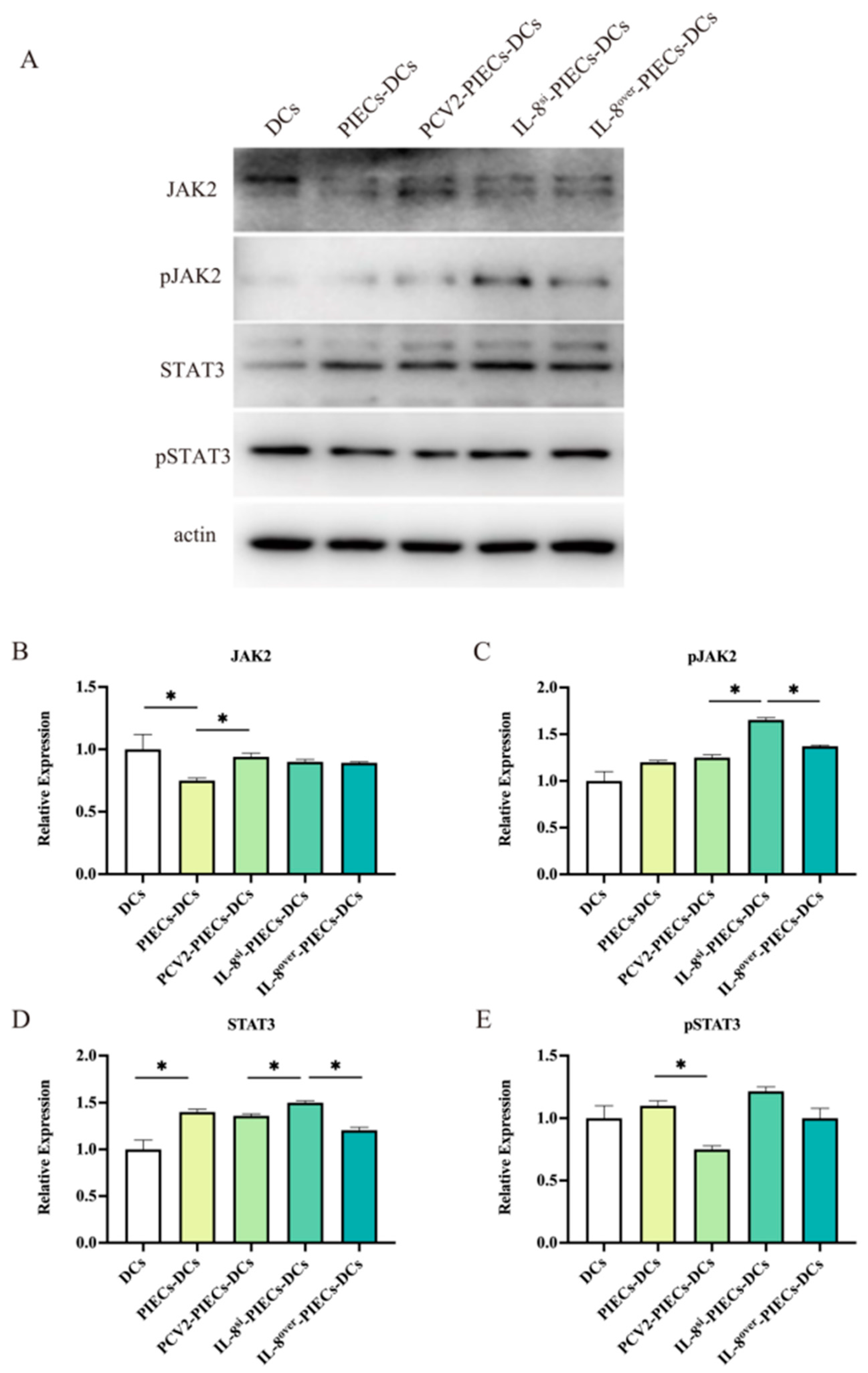 Viruses 16 00646 g005