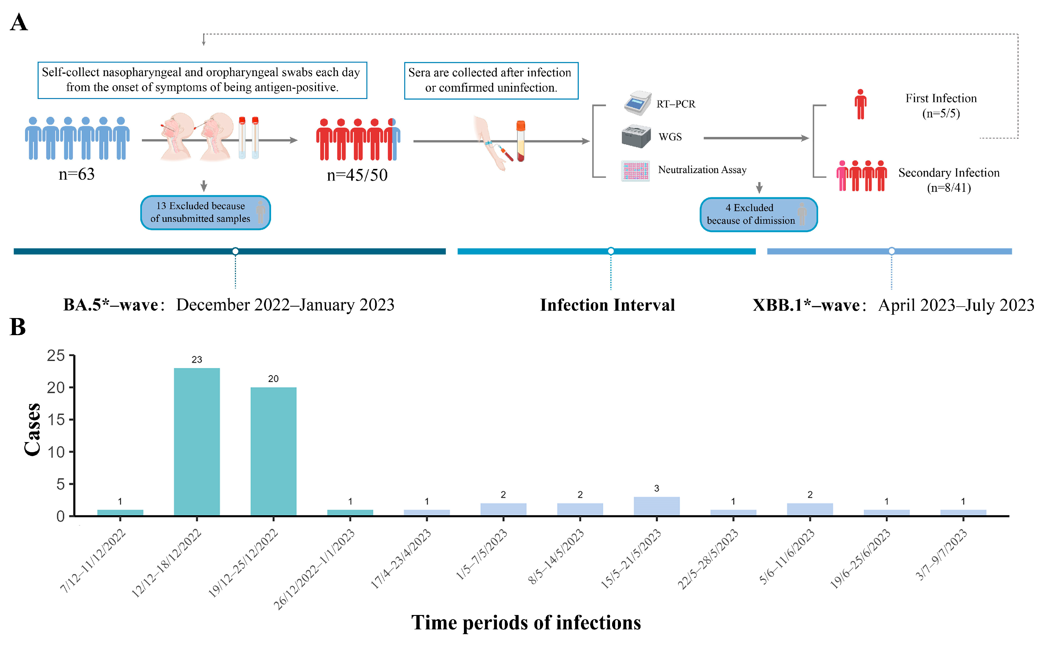 Viruses 16 00649 g001