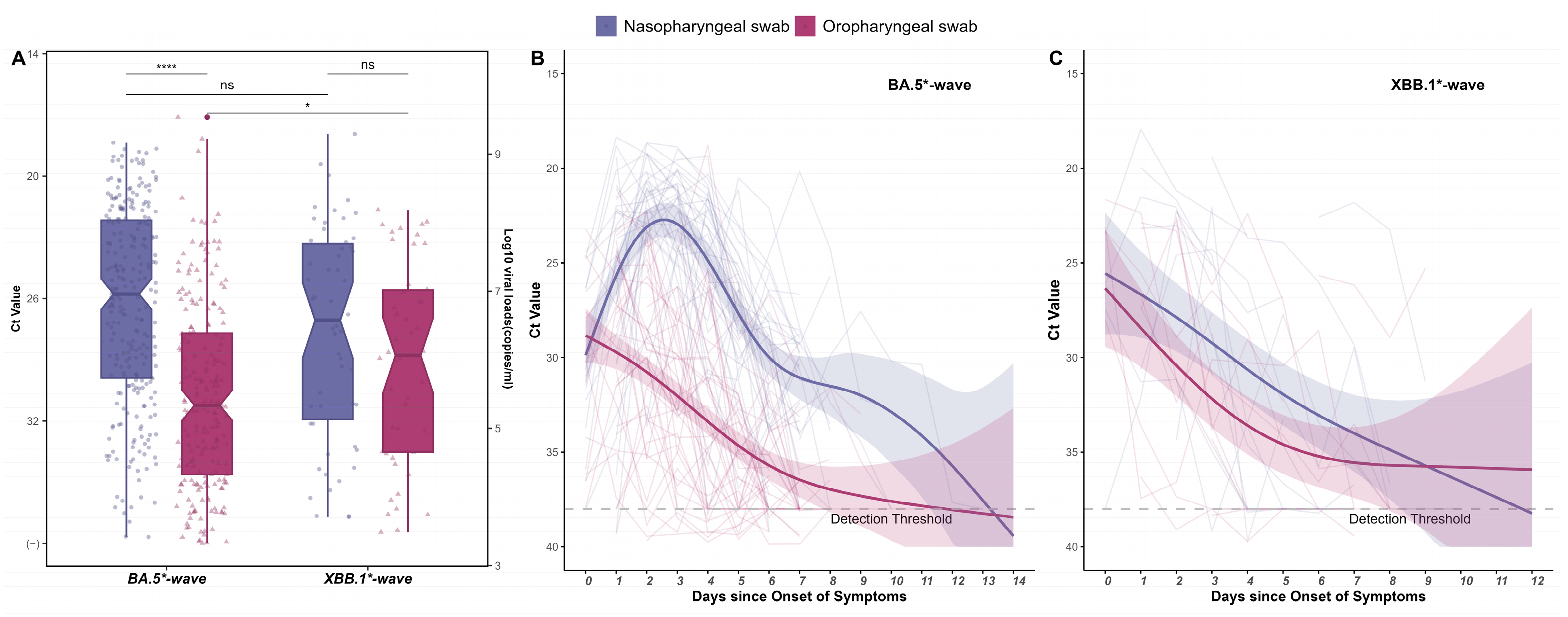 Viruses 16 00649 g003