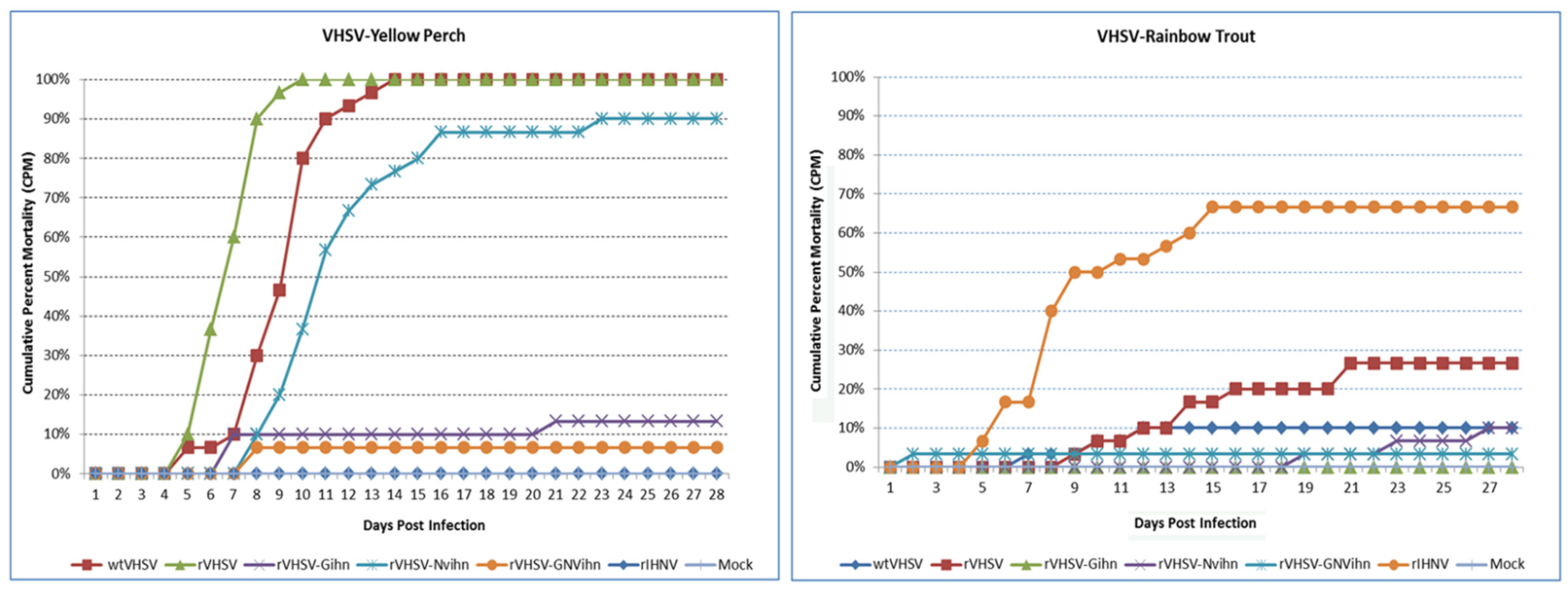 Viruses 16 00652 g005