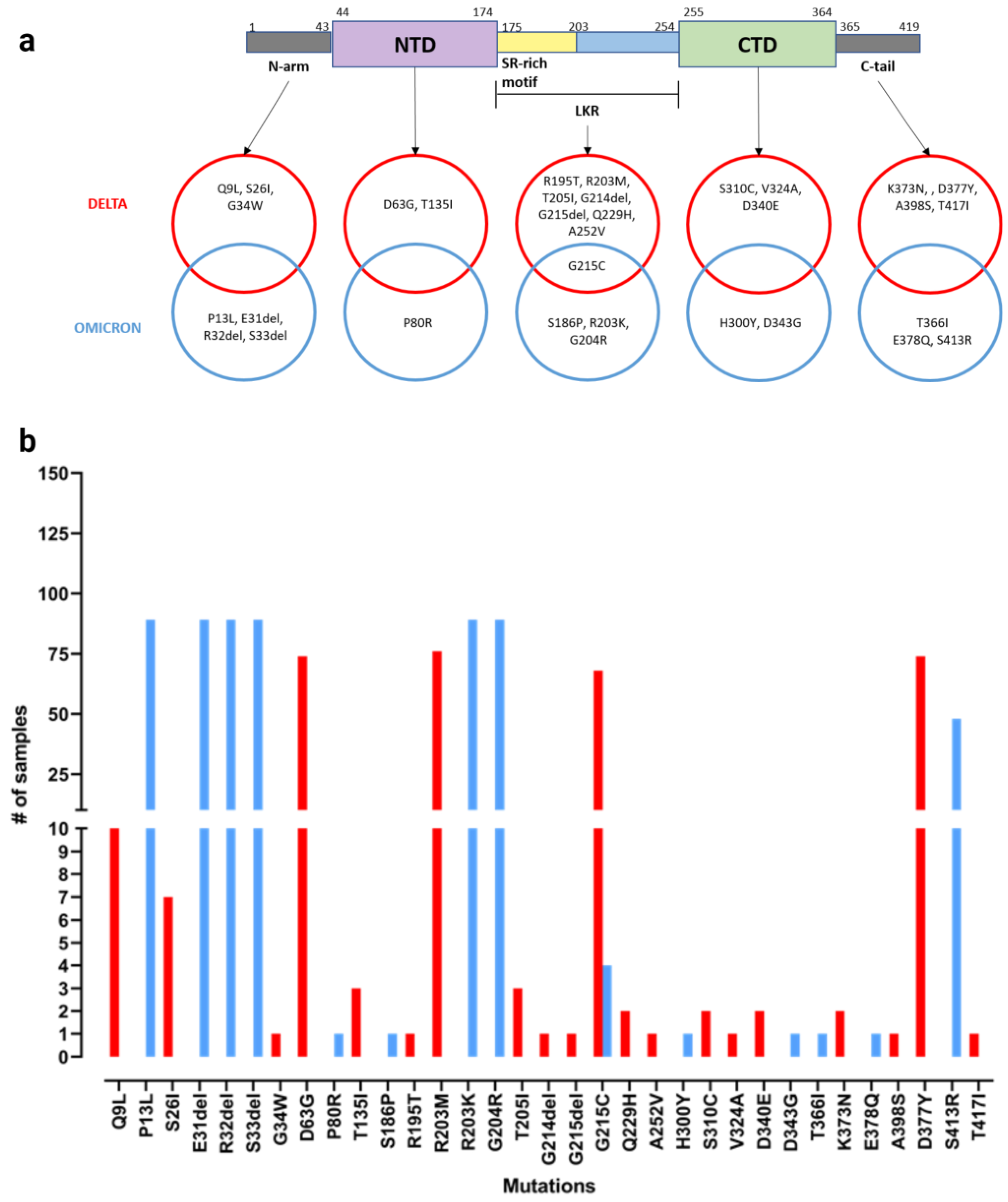 Viruses 16 00657 g002